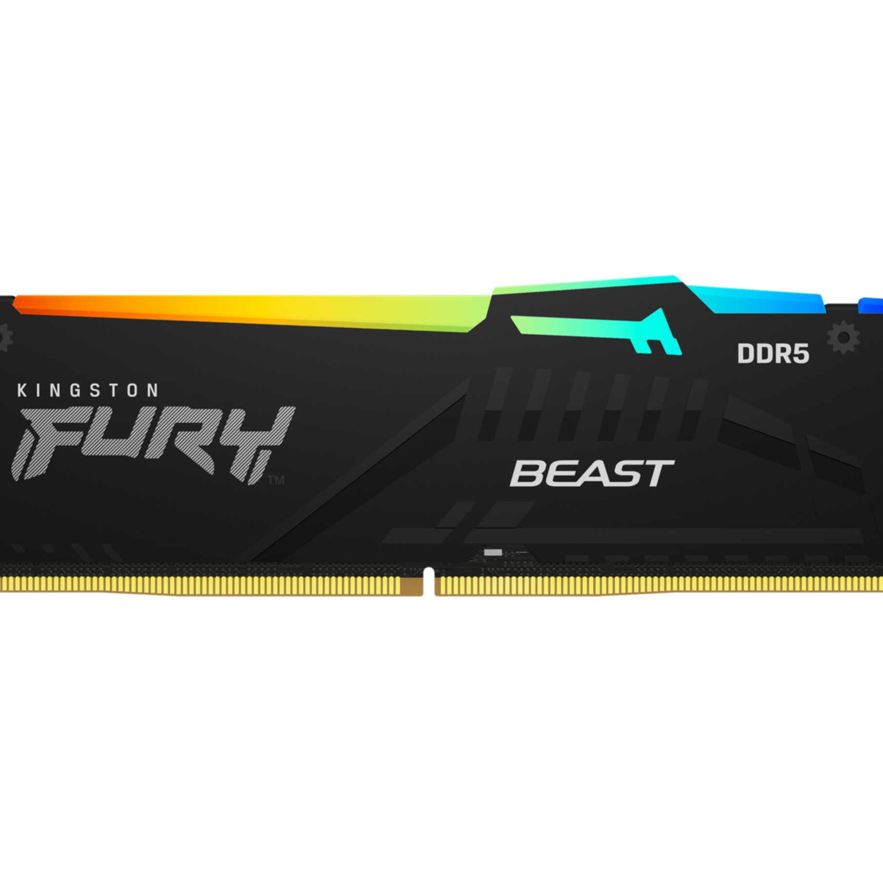 Schwarzes RAM-Modul mit FURY-, BEAST- und DDR5-Etiketten und farbiger Oberkante. Weißer Hintergrund.