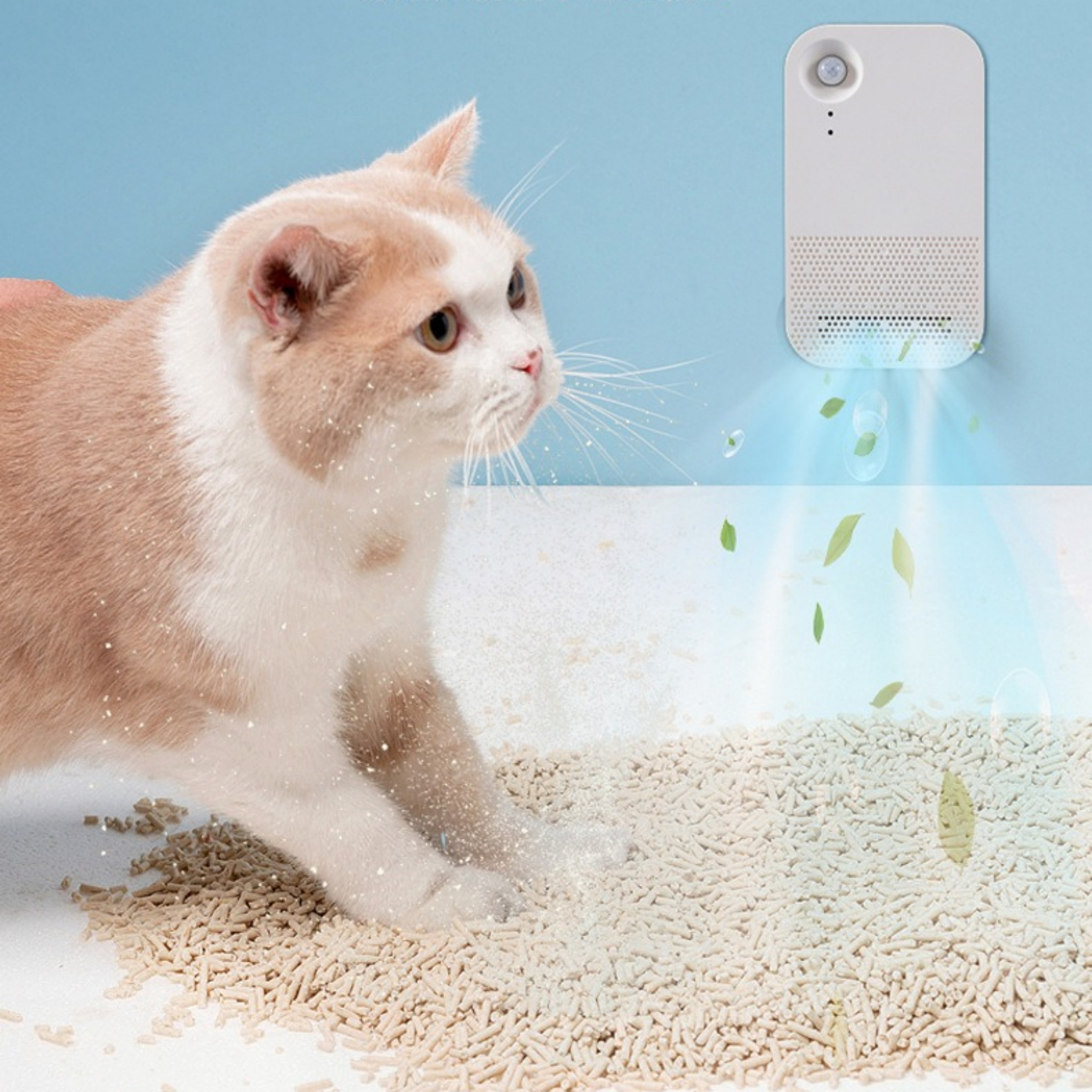 Eine Katze blickt auf eine Katzentoilette mit Streu. Ein kleiner Luftreiniger gibt Luft ab. Weißer Hintergrund.