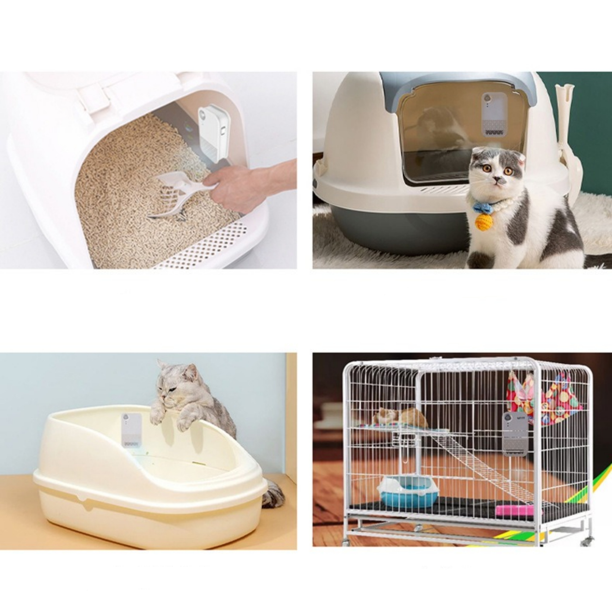 Vier Bilder mit Katzenklos und einer Katze. Eine Katze ist in einem Käfig.