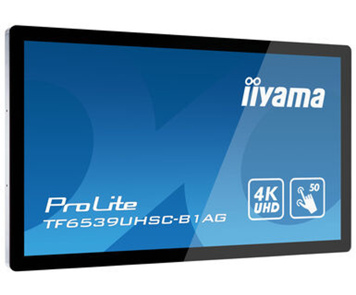 Un monitor nero con schermo blu che mostra il logo e il testo iiyama.