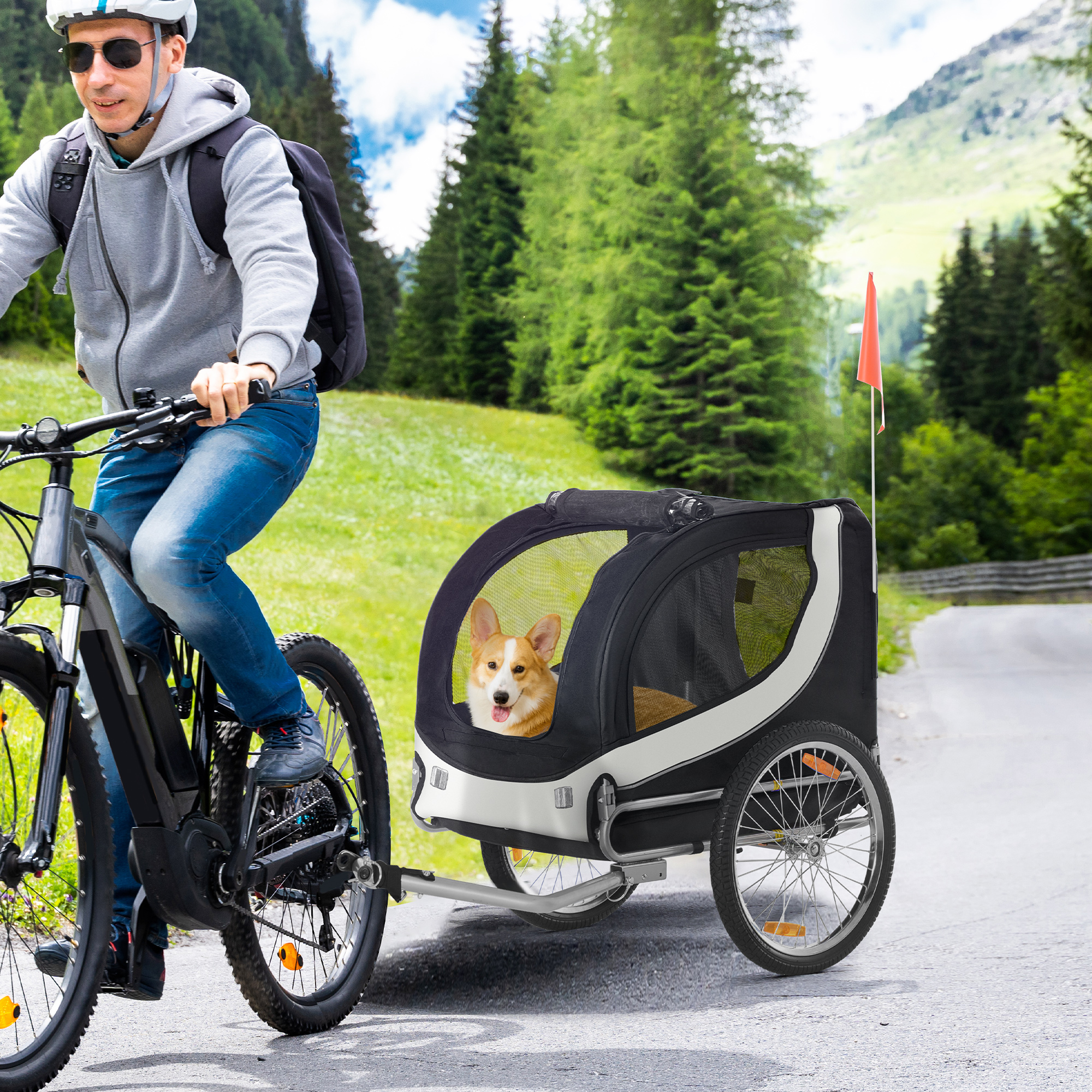 Uomo in bicicletta con rimorchio per cani. Cane nel rimorchio, bandiera. Alberi verdi e strada sullo sfondo.