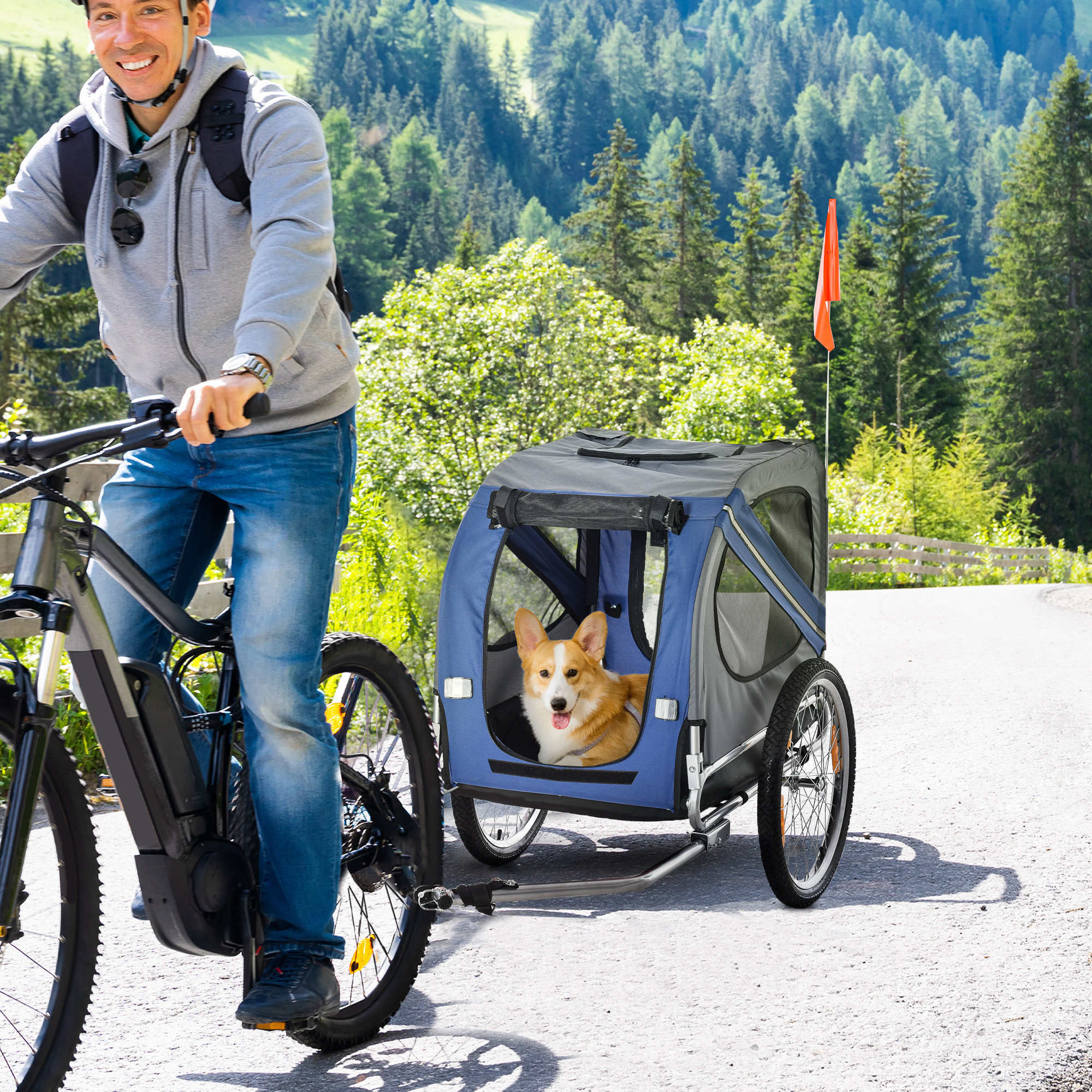 Un uomo in bicicletta che tira un rimorchio per cani con un cane dentro, che guida su una strada.