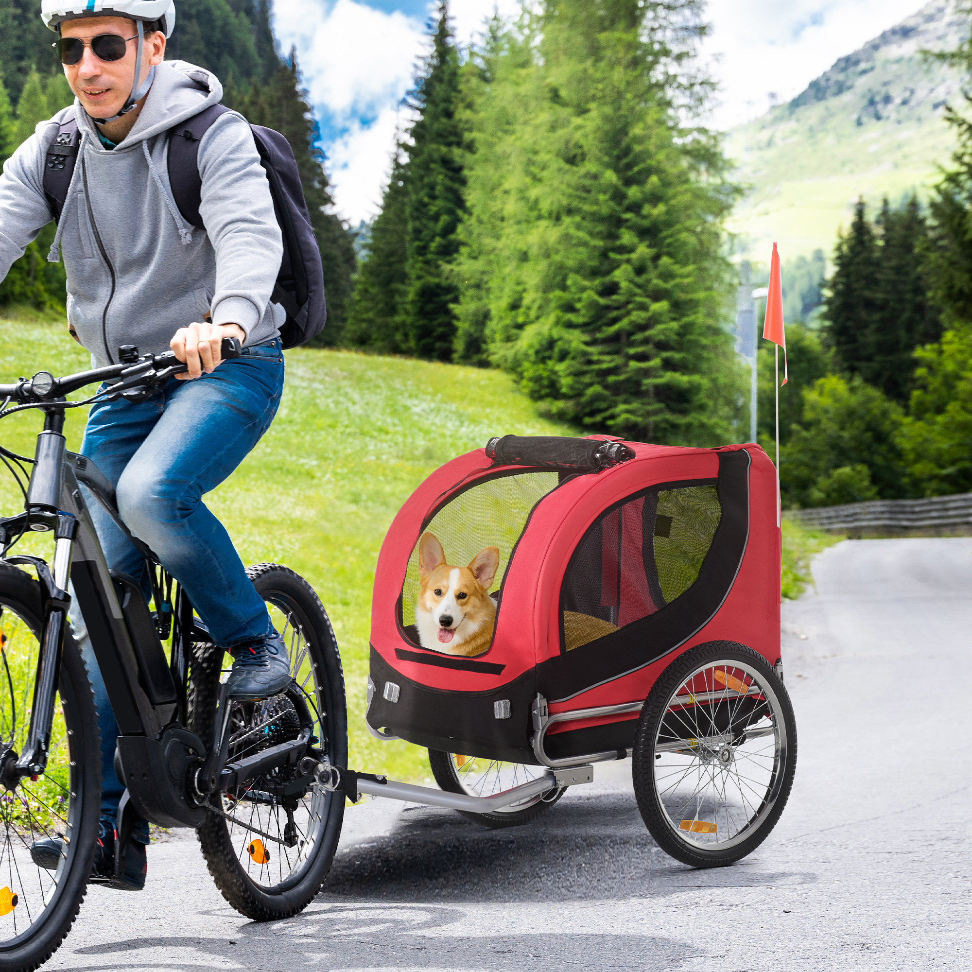 Mann auf einem Fahrrad mit einem Hund in einem Anhänger. Der Hund schaut aus dem Fenster.