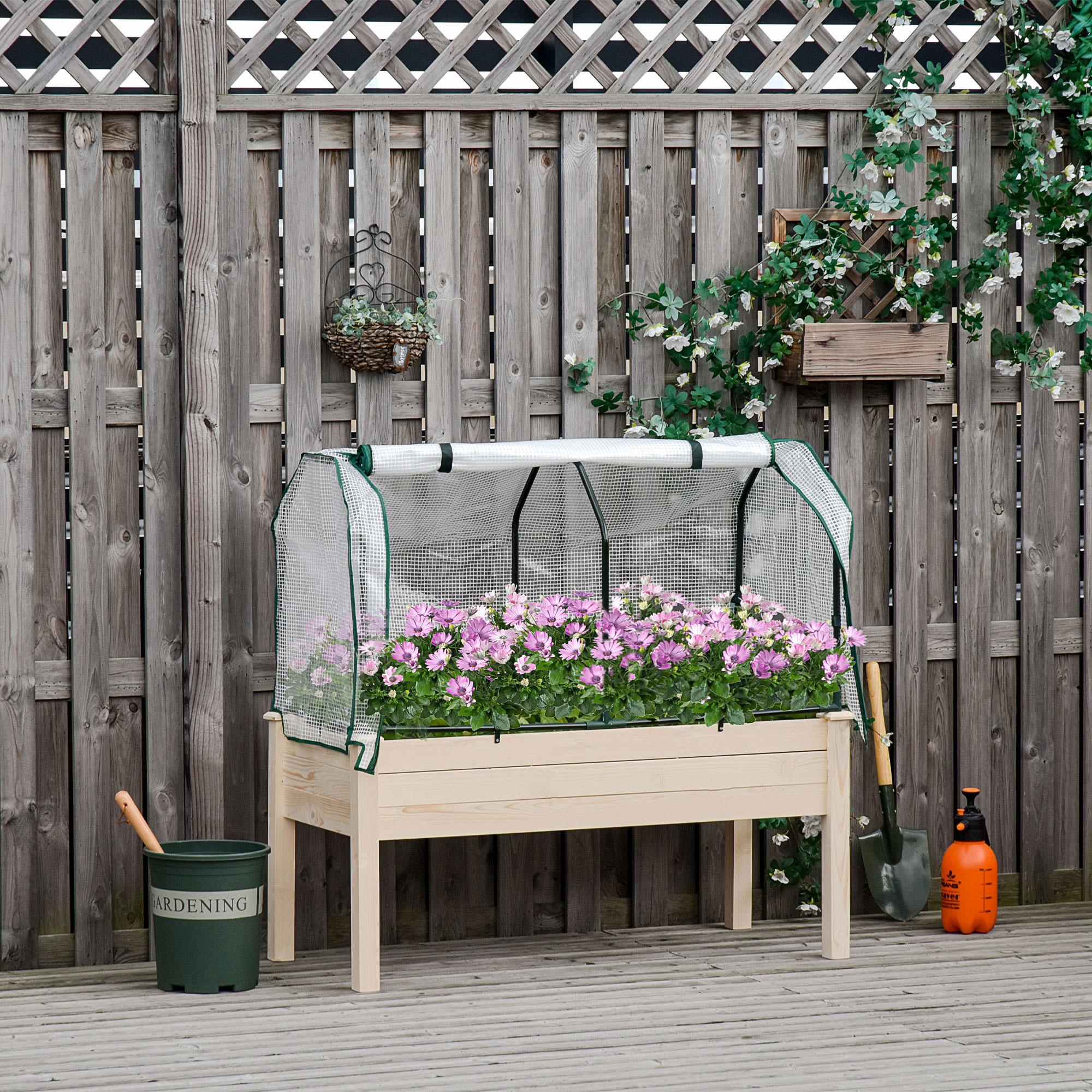 Aiuola con fiori rosa sotto una copertura di serra. Recinzione in legno e attrezzi presenti.