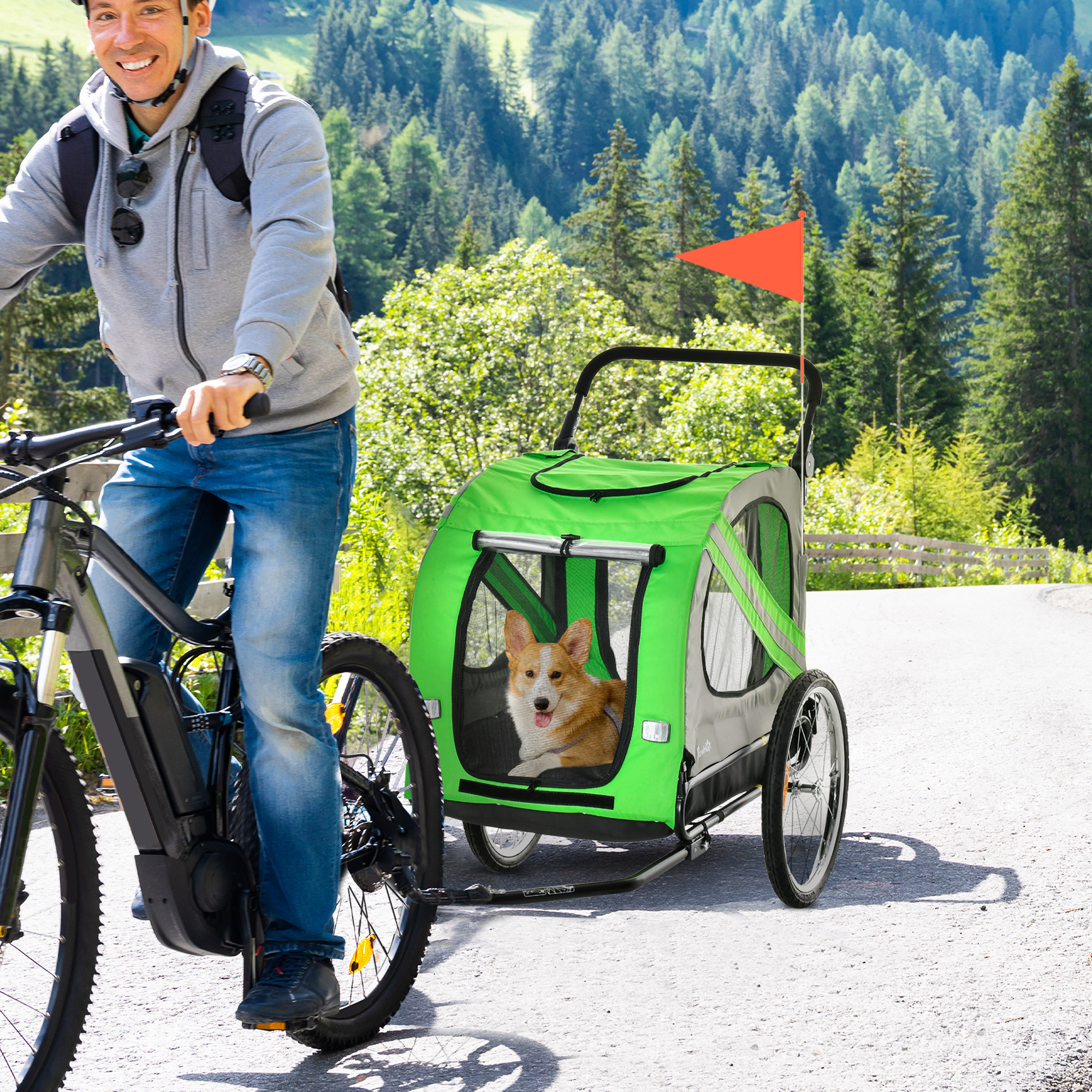 Uomo in bici che tira un rimorchio verde per cani, cane dentro. Sfondo: foresta e strada.