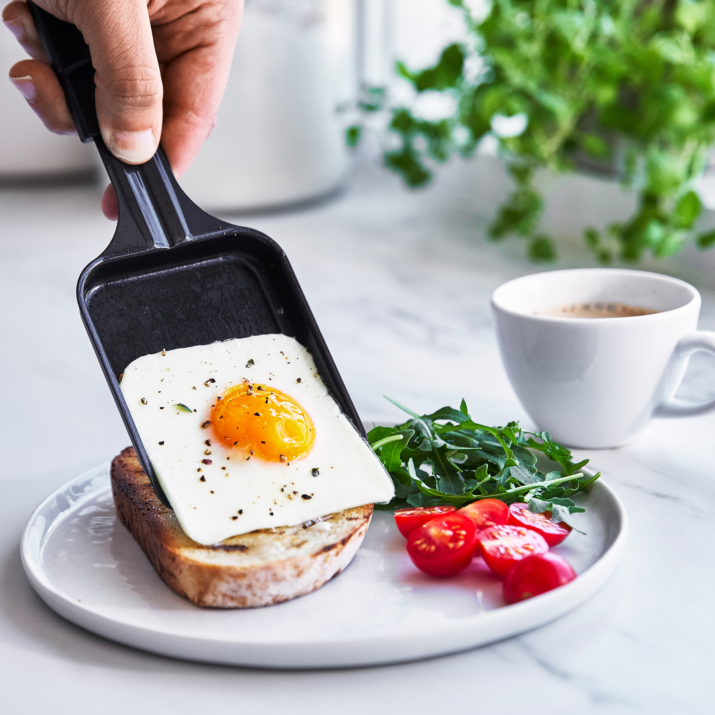Spiegelei und Toast auf einem Teller. Hand legt das Ei mit einem Spatel. Tomaten und Salat dabei.