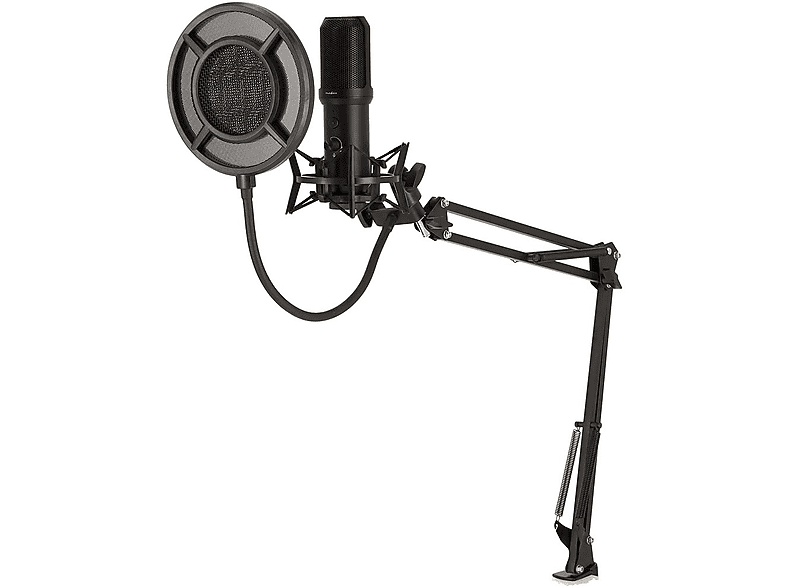 Dislocati Karaoke con Microfono, Microfono Karaoke Regalo Bambina 3-12