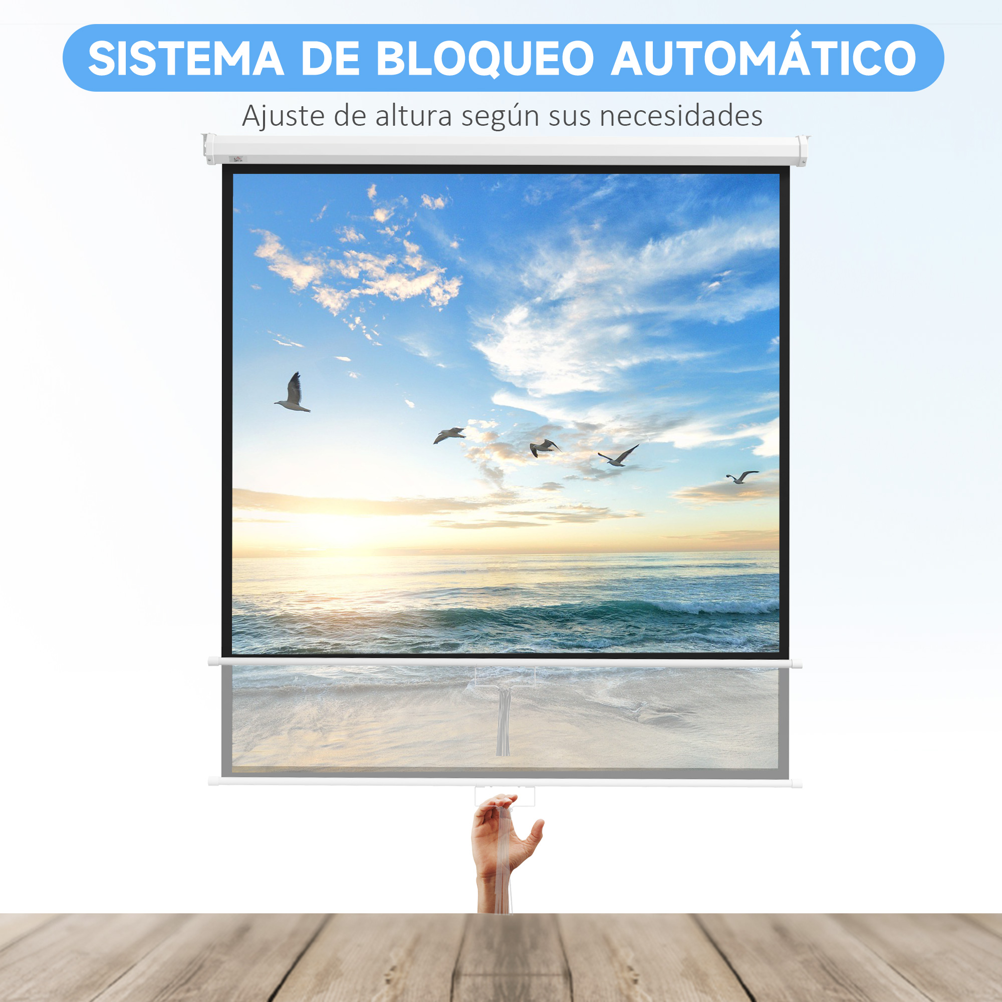 Pantalla de proyección mostrando una escena de playa con gaviotas. Una mano sostiene el borde inferior.