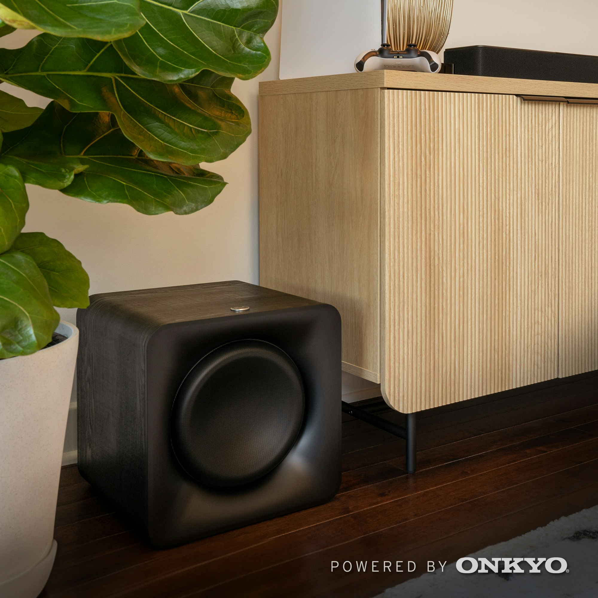 Subwoofer nero in una stanza. Mobile in legno a destra. Pianta verde in vaso bianco a sinistra.