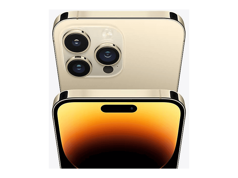 fee_786_587_png