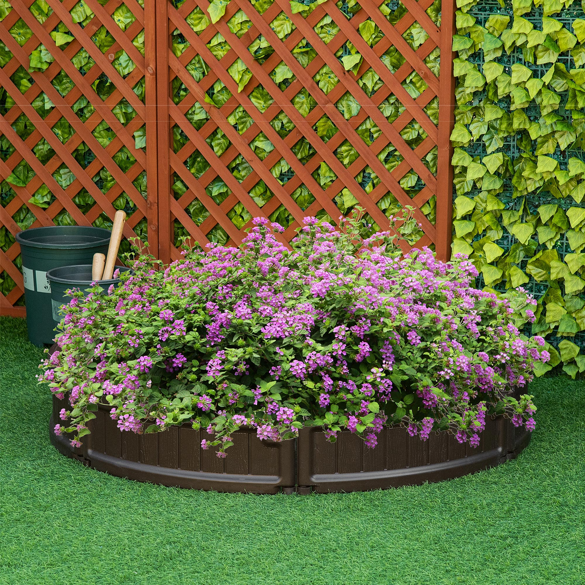 Un'aiuola rotonda con fiori viola. Bordo marrone e recinzione a traliccio sullo sfondo.