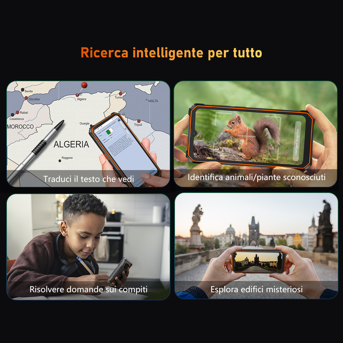Un collage mostra una mappa, uno scoiattolo, un ragazzo che scrive e due mani che tengono un telefono.