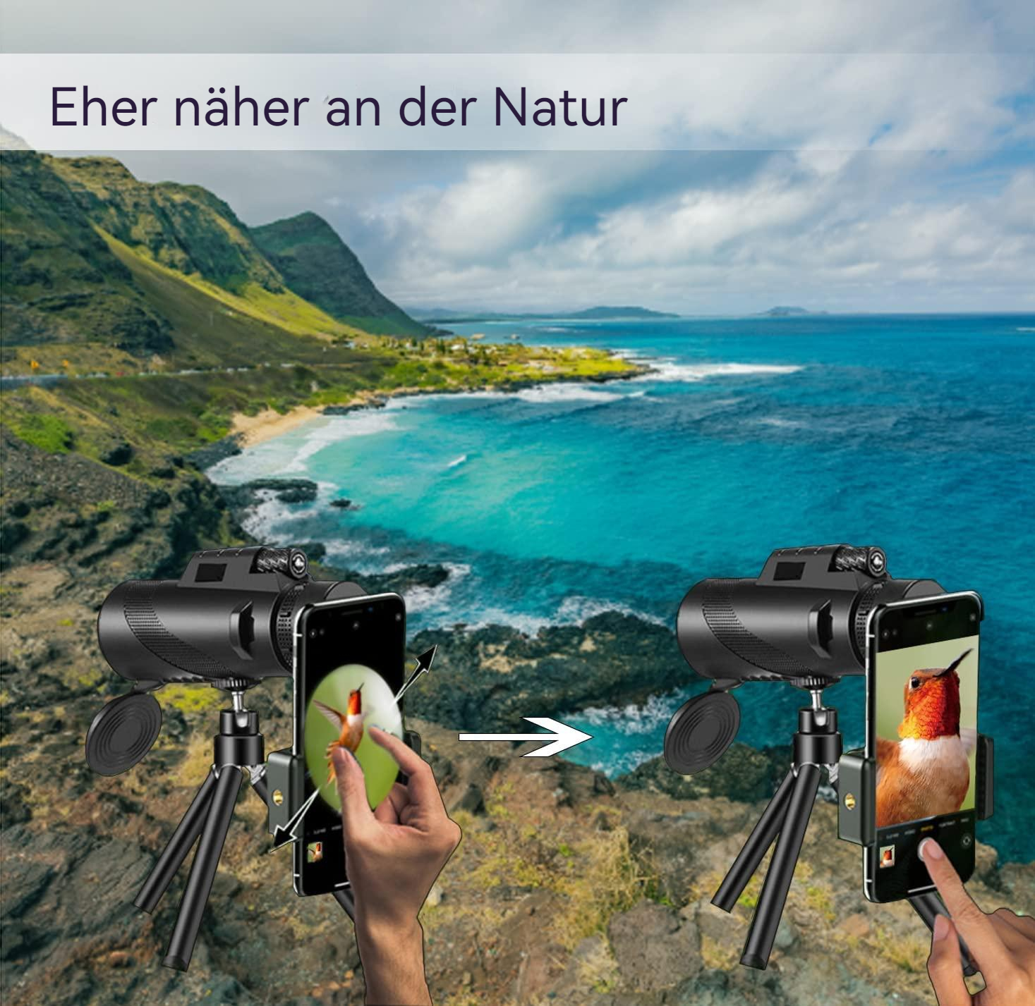 Ein schwarzes Spektiv mit einem Telefon, das einen Kolibri zeigt, vor einer Küstenlandschaft.