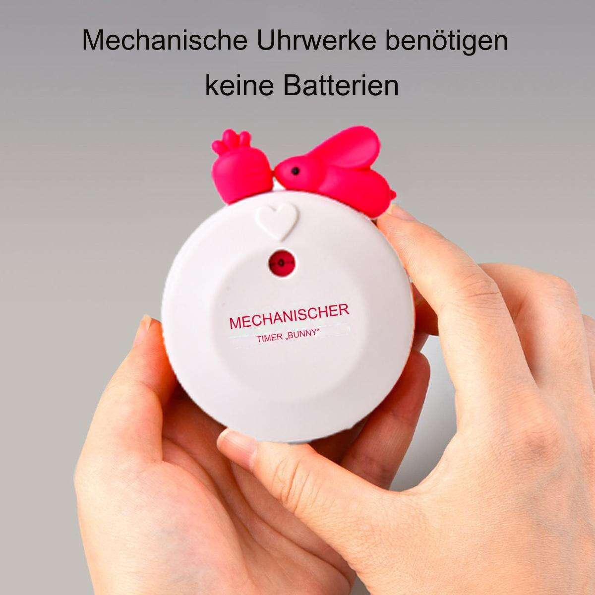 Ein weißer Timer mit einem Hasen oben, gehalten von Händen.
