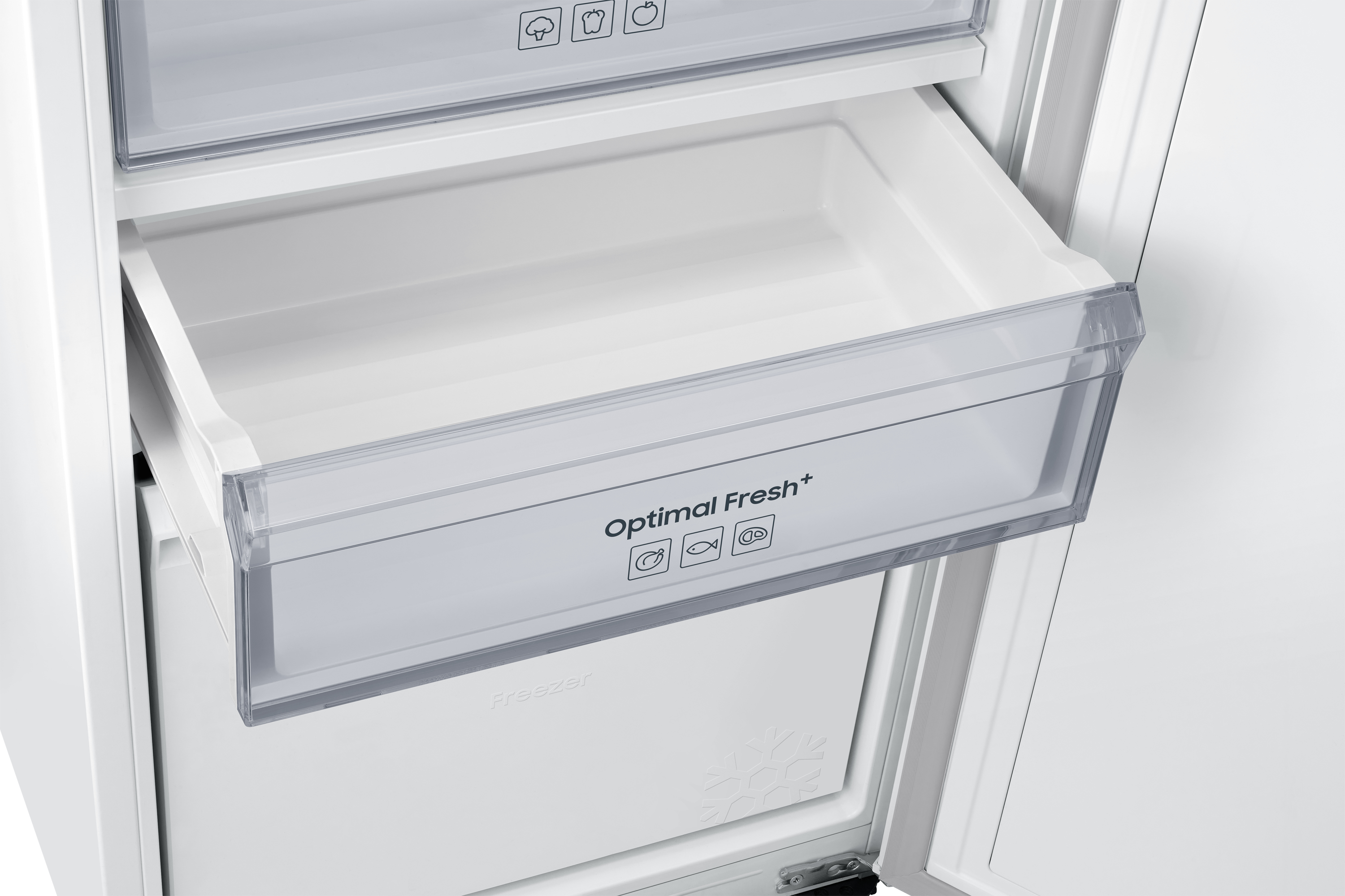 Cassetto frigorifero con etichetta Optimal Fresh+, icone di pesce e carne.