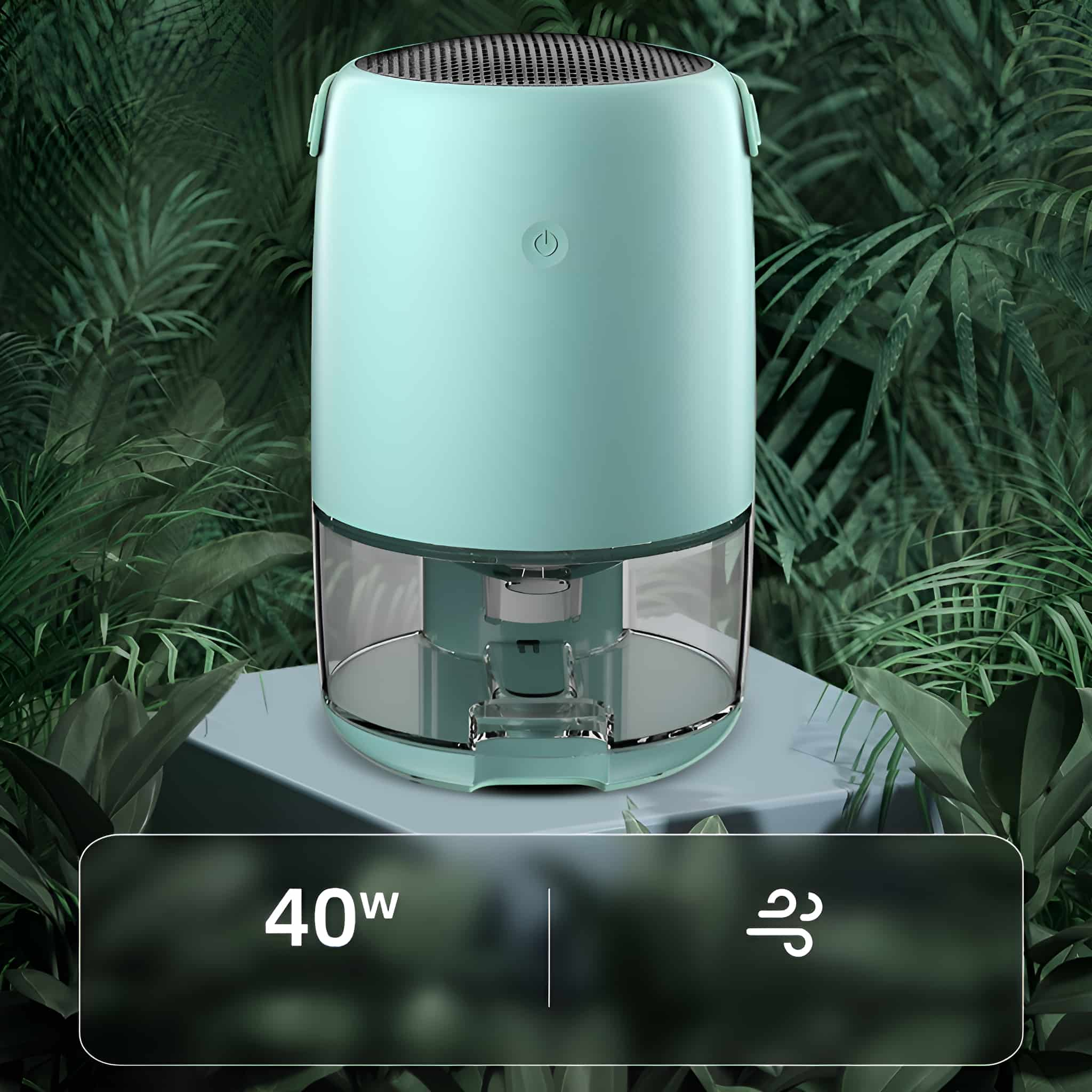 Mintgrüner Luftentfeuchter, transparenter Wassertank. Umgeben von grünen Pflanzen.