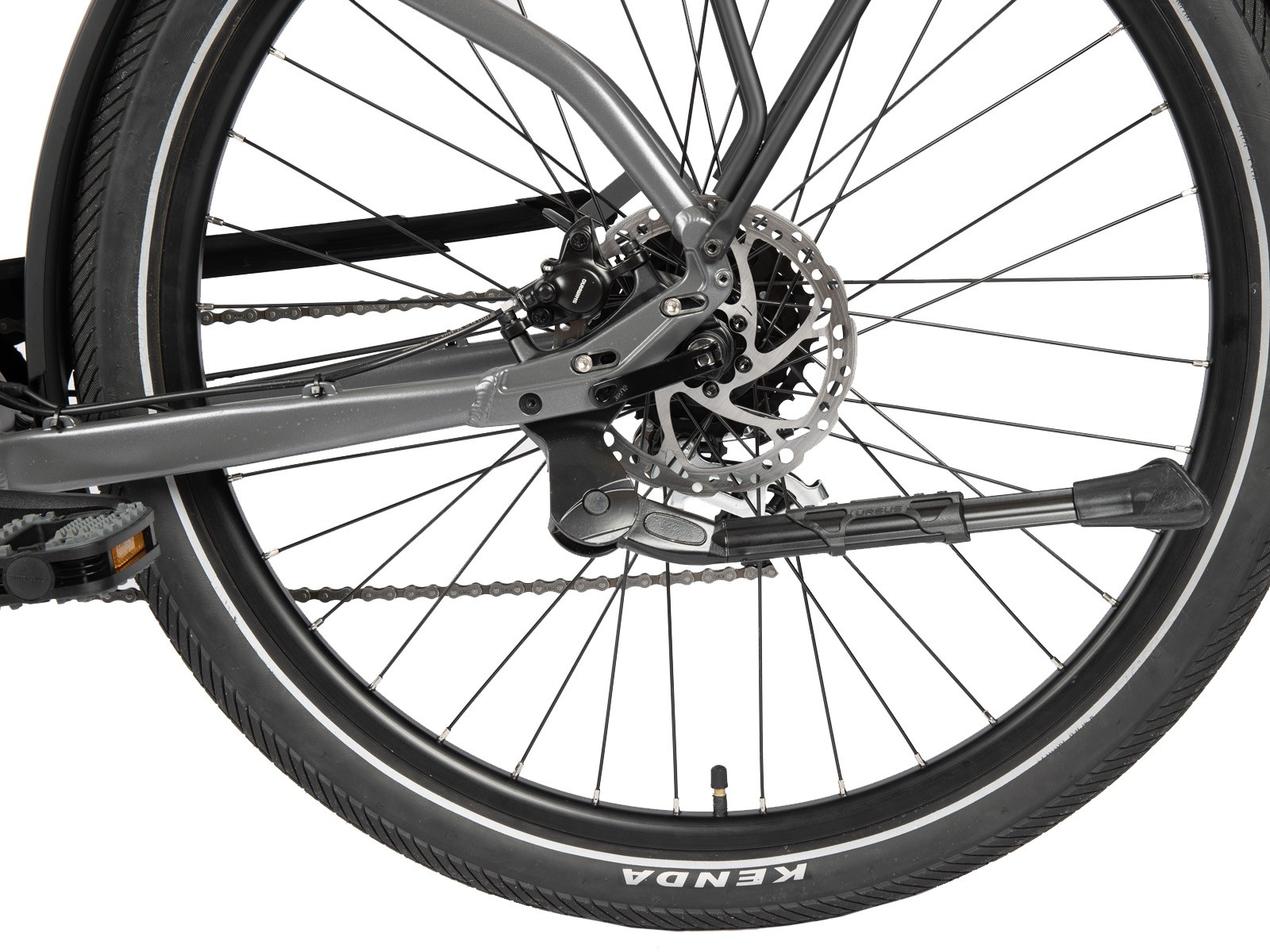 Hinterrad eines Fahrrads. Zeigt Bremsscheibe, Kette und Ständer.