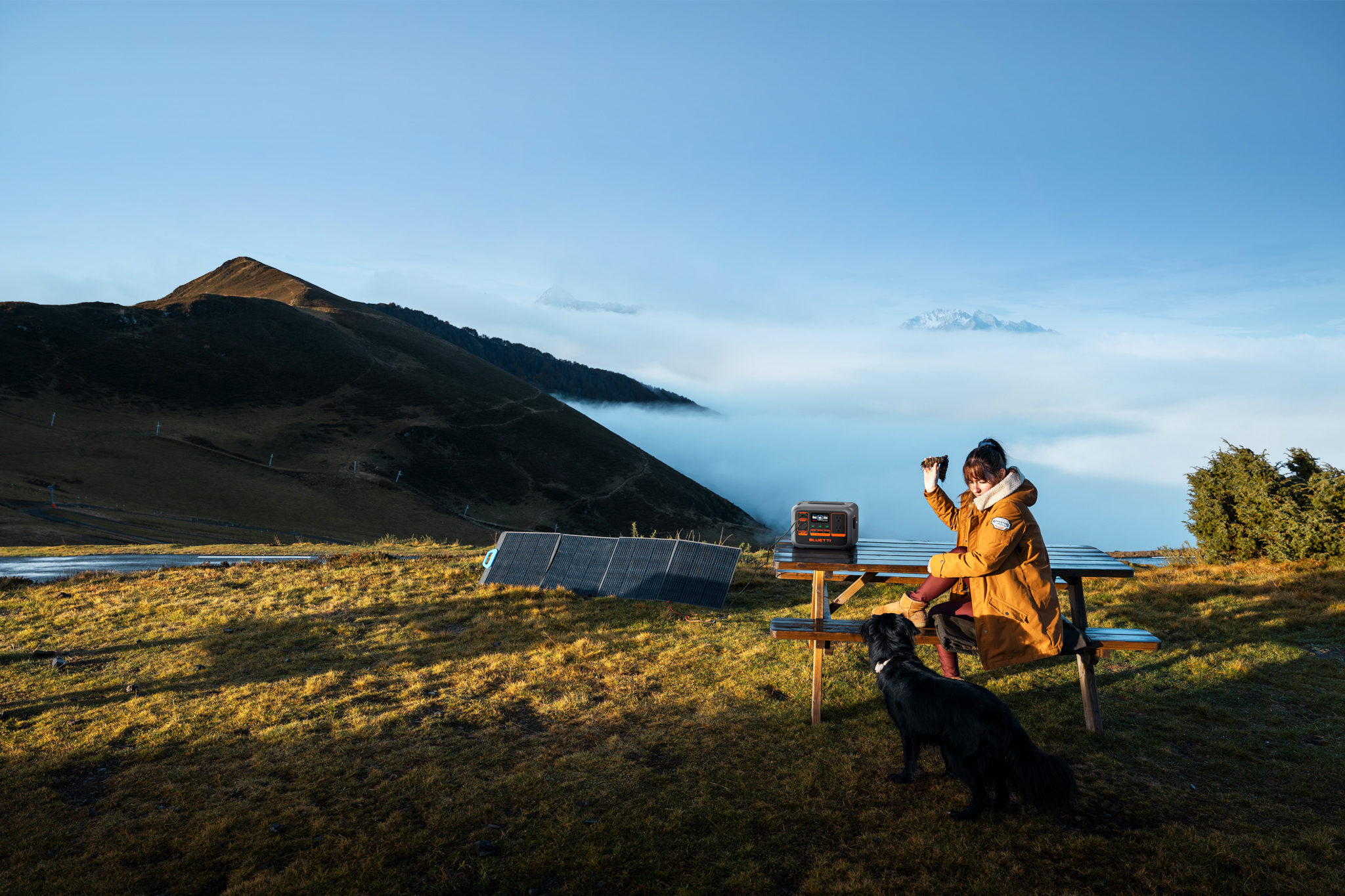 Kobieta siedząca przy stole piknikowym w górskim krajobrazie z psem.