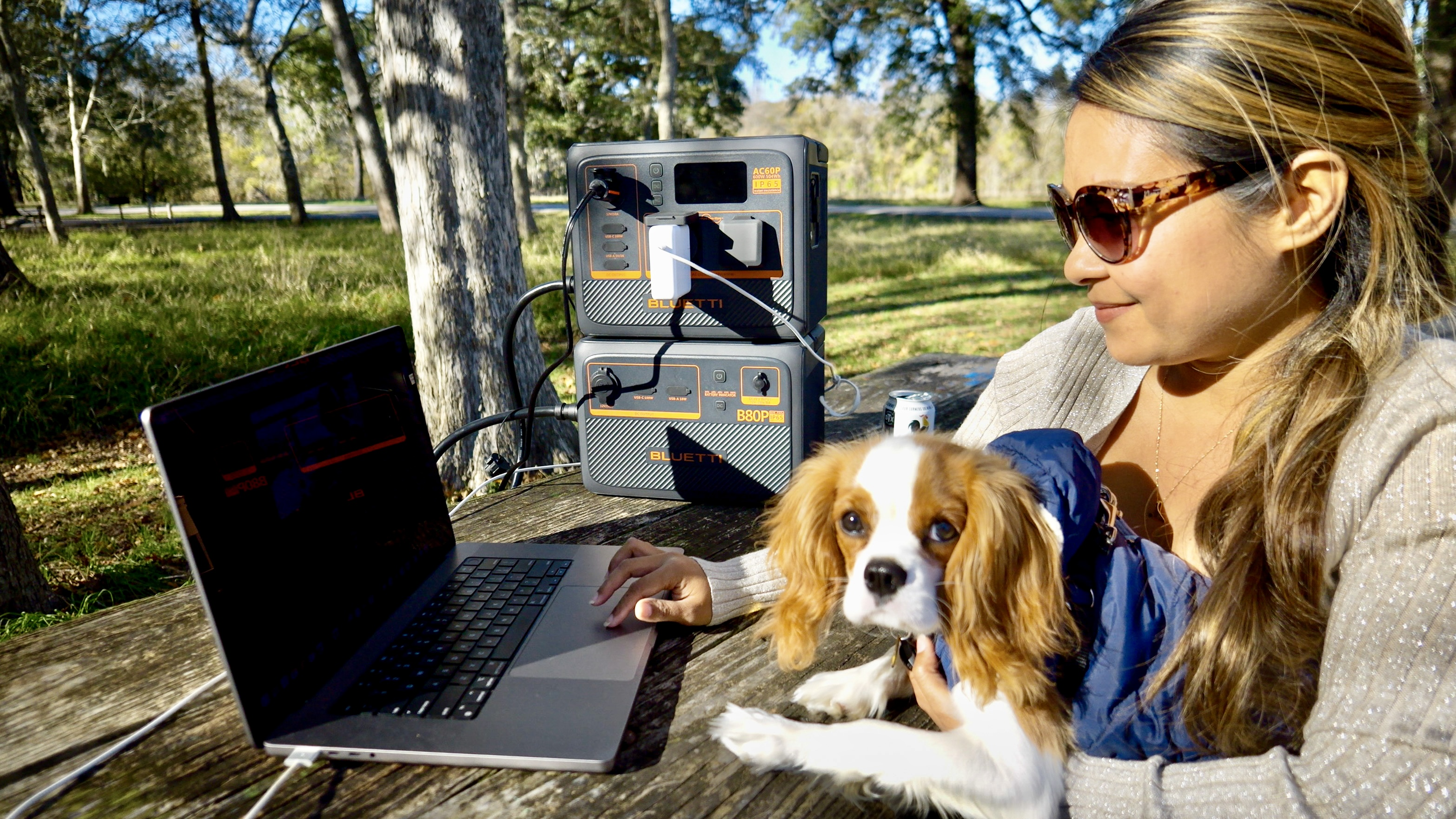 Kobieta z psem używająca laptopa w pobliżu elektrowni na świeżym powietrzu w parku.