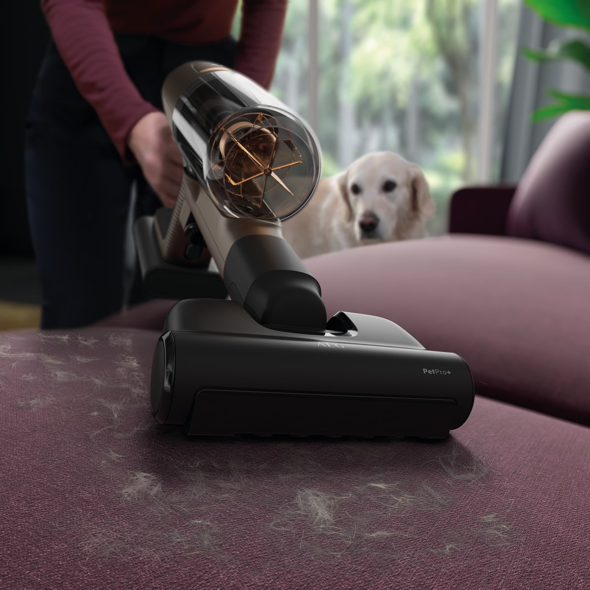 Una persona usa una aspiradora para limpiar un sofá morado. Un perro está en el fondo.