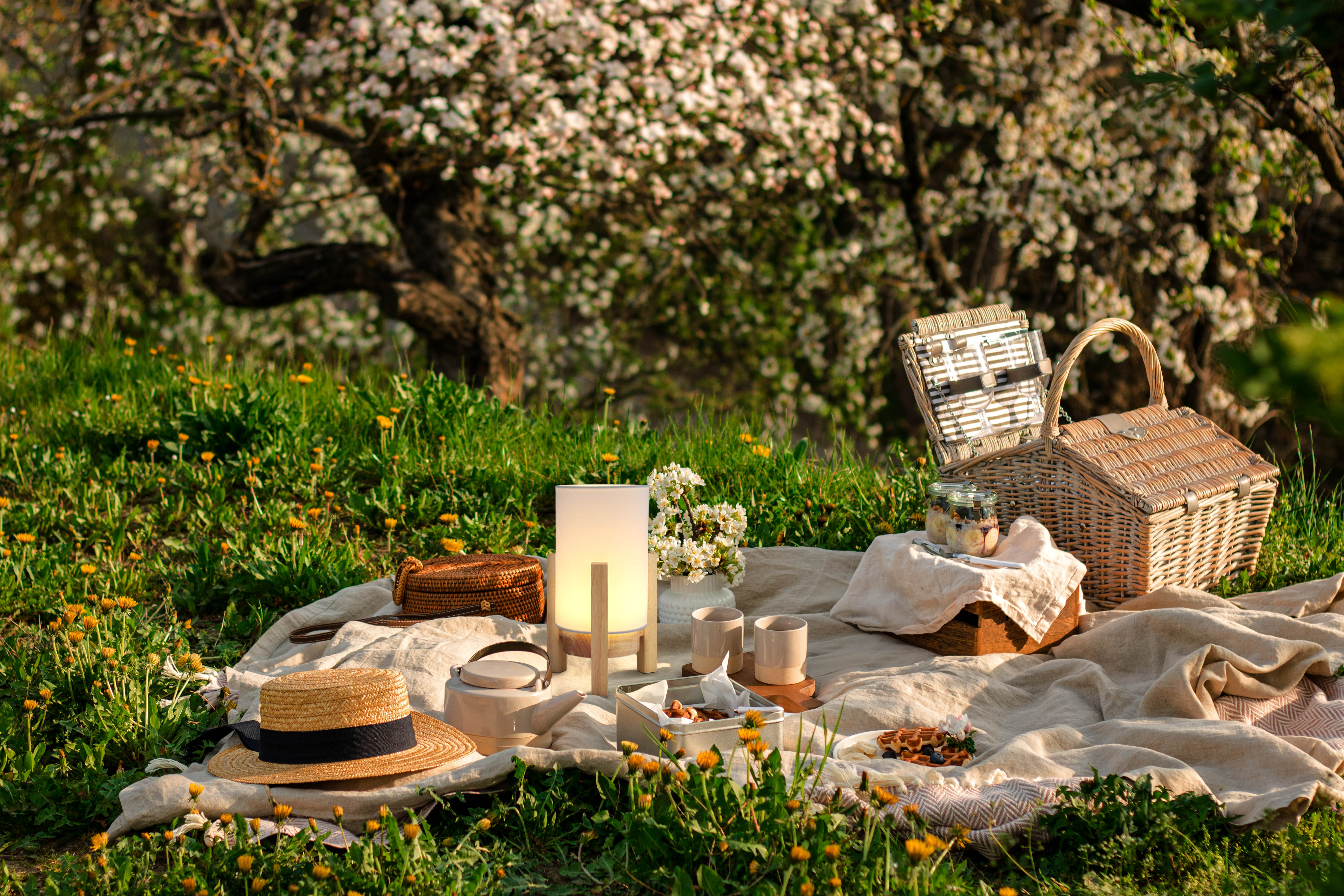 Picknick mit Essen, Lampe und Hut auf einer Decke. Bäume im Hintergrund.