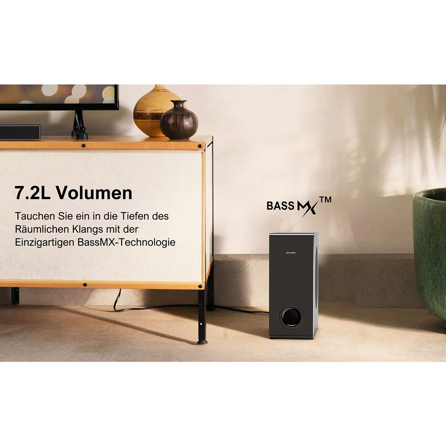 Schwarzer Subwoofer mit Text, auf einem Boden neben einem weißen Schrank und einer grünen Pflanze.
