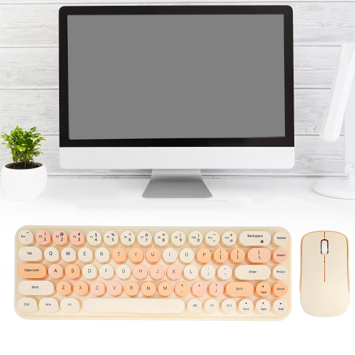 Eine Tastatur, Maus und Monitor auf einem Schreibtisch, mit einer Pflanze im Topf.