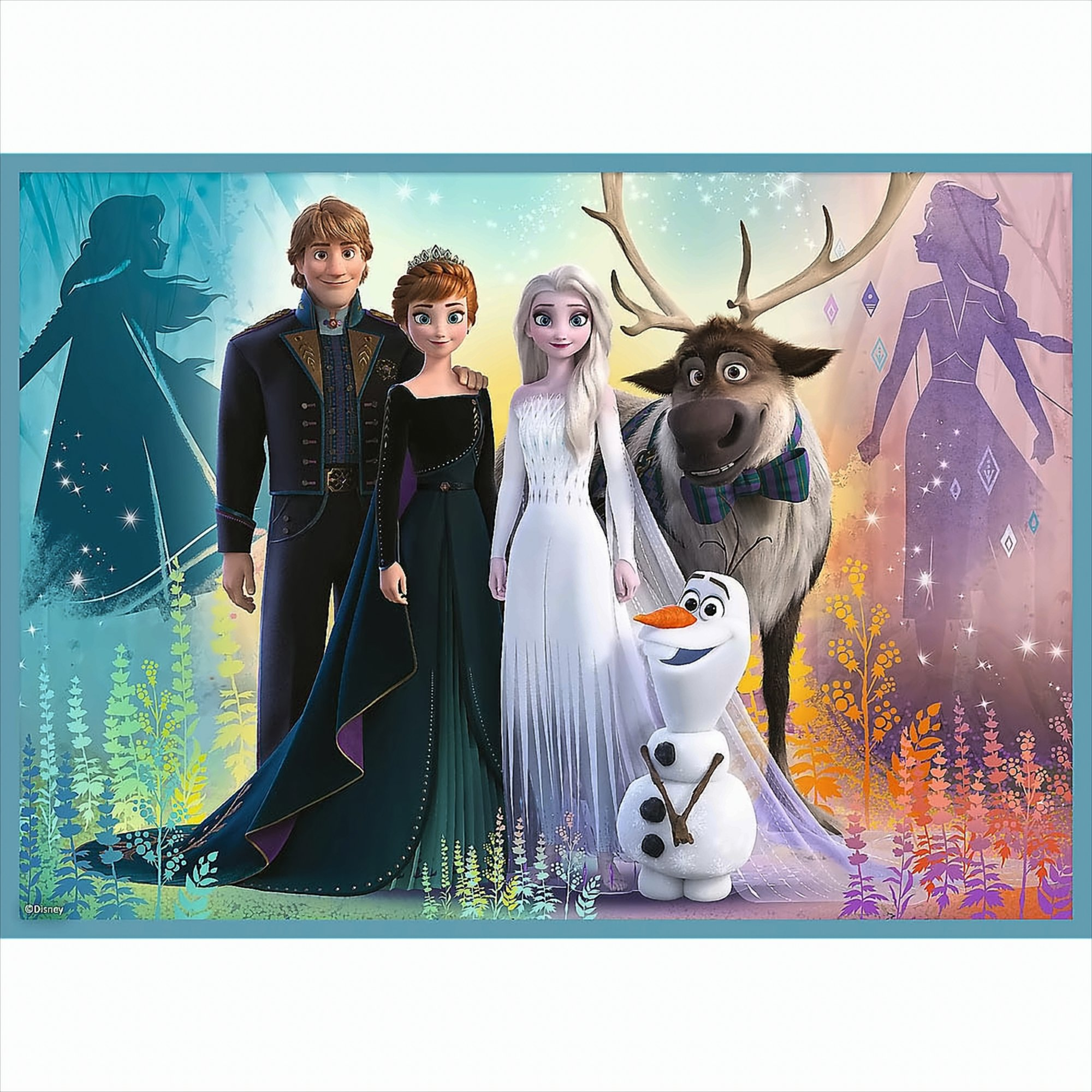 Frozen characters stand together. Anna, Elsa, Kristoff, Olaf, and Sven. The background has a castle and colorful scenery.