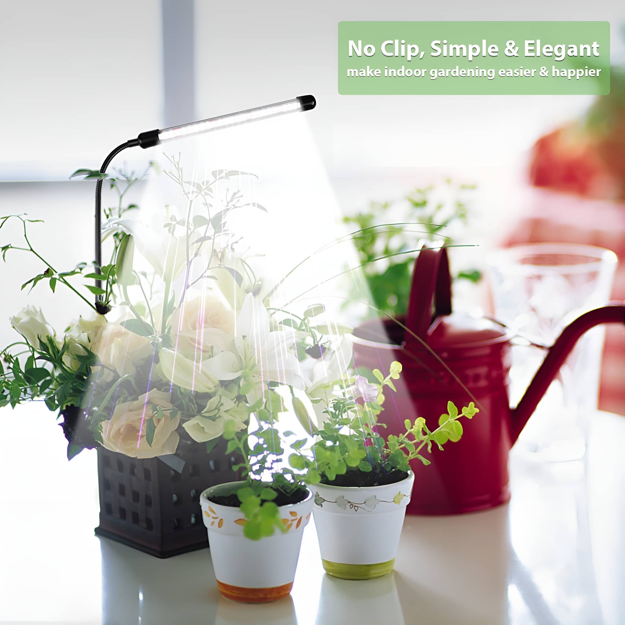 Szene eines Innengartens, beleuchtet von einer schwarzen LED-Pflanzenlampe, mit Blumen und Pflanzen.