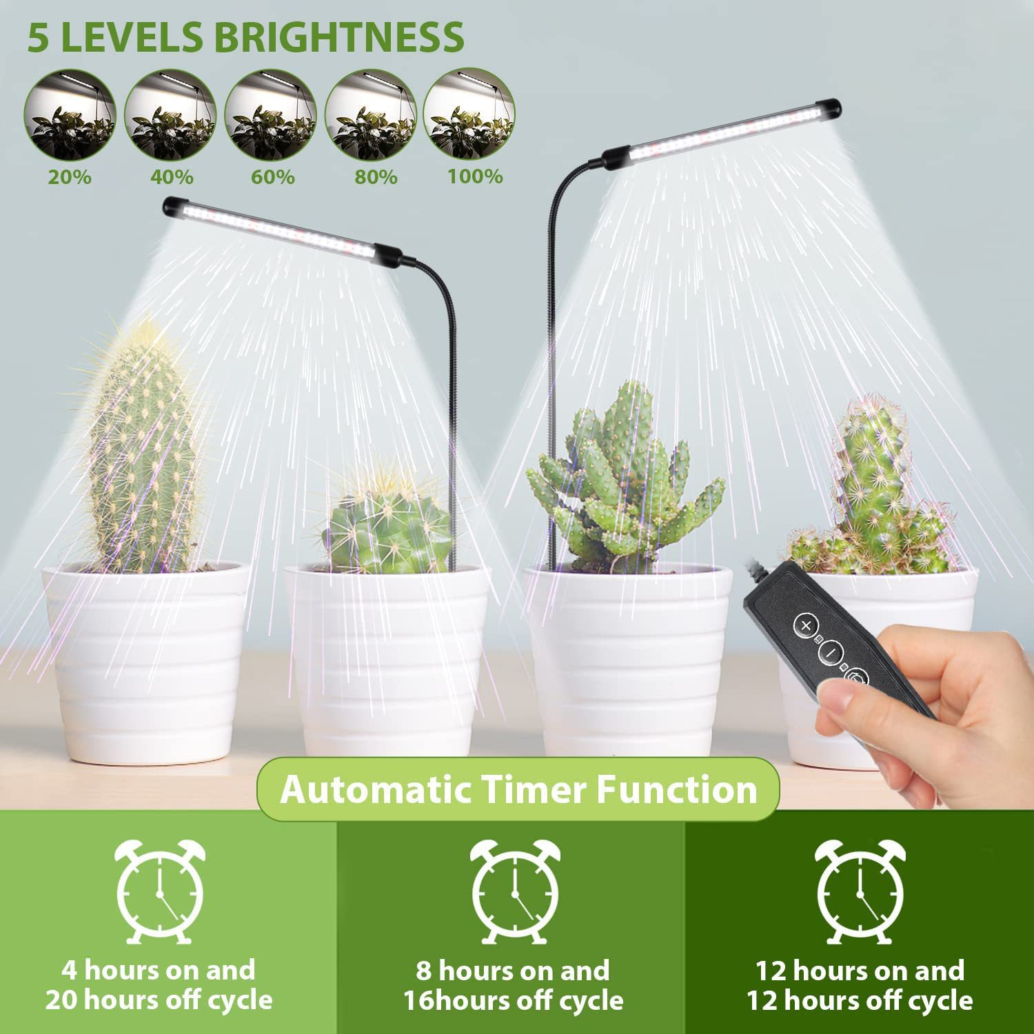 Kakteen unter LED-Wachstumslichtern mit Timer-Einstellungen und Helligkeitsstufen.