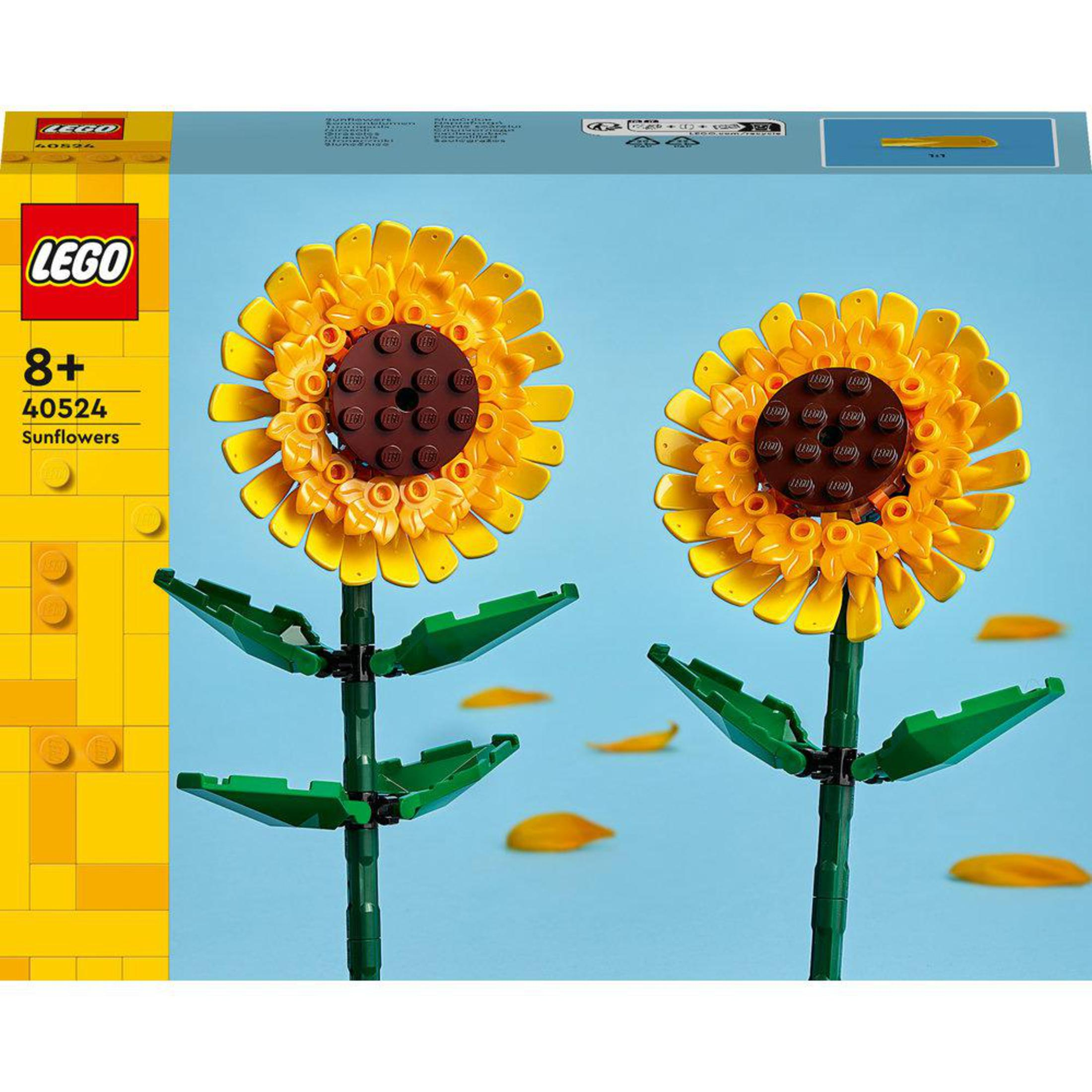 İki ayçiçeği modeli bulunan LEGO set kutusu. Sarı yapraklar, yeşil saplar ve yapraklar, mavi arka plan.