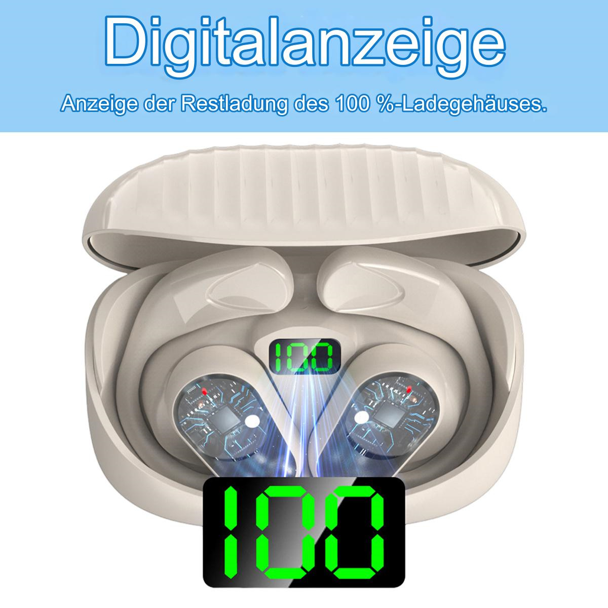Ohrhörer in einem Ladecase, Anzeige '100'. Text-Overlay und Ohrhörer sind weiß. Grüne Zahlen.