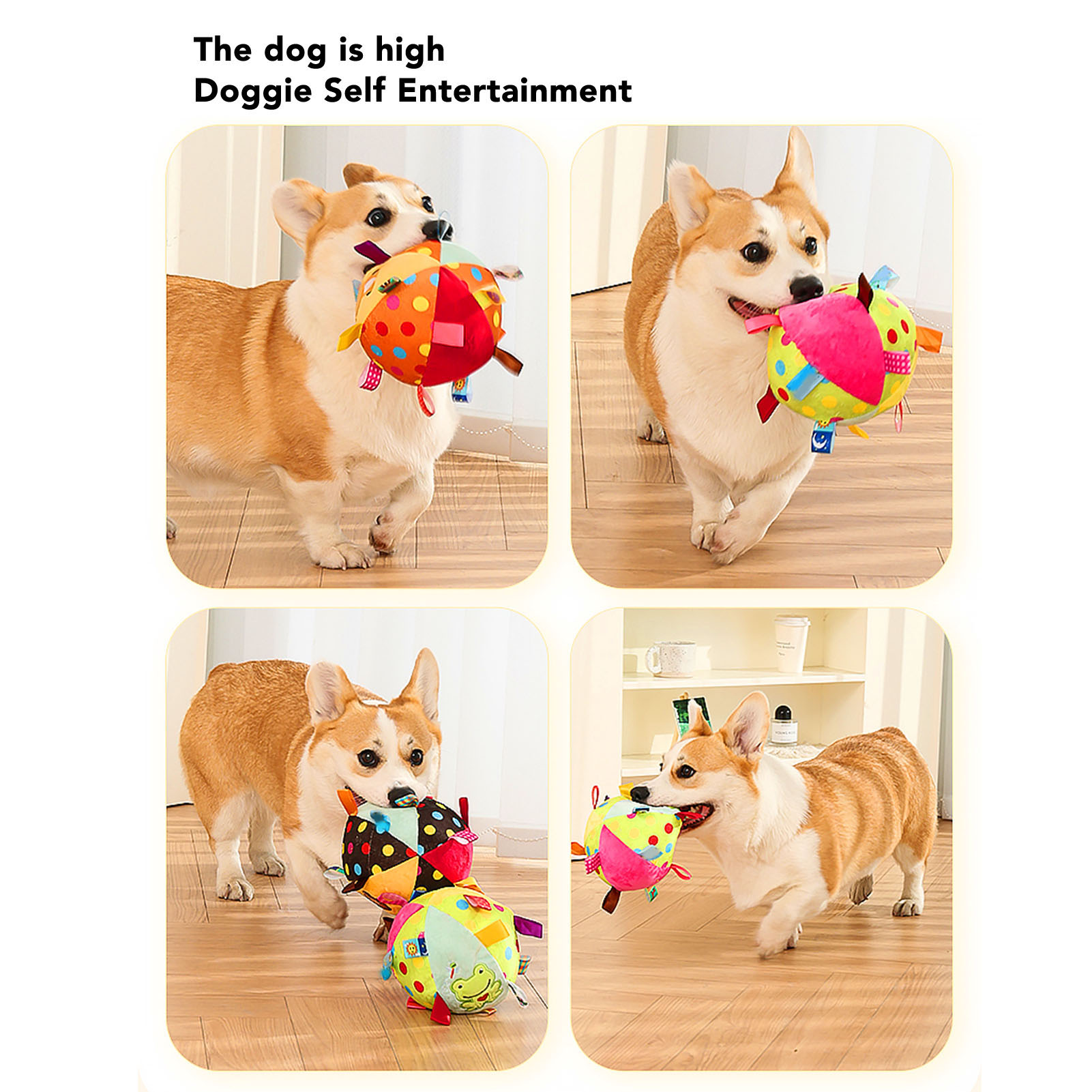 Corgi-Hunde spielen mit bunten Spielzeugen, mehrere Bilder.