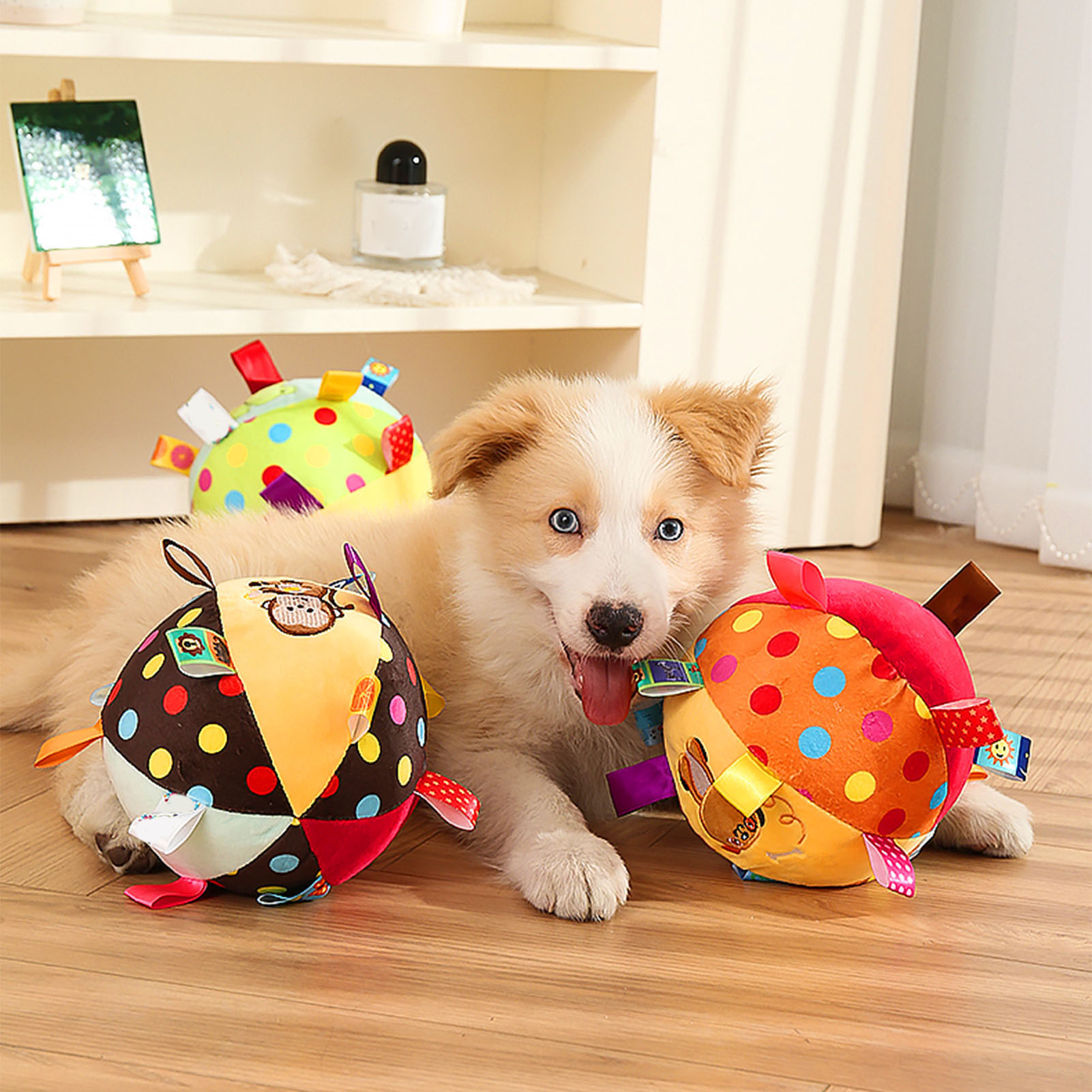 Ein Hund mit Spielzeug. Das Spielzeug sind bunte, gepunktete Bälle. Der Hund schaut in die Kamera.