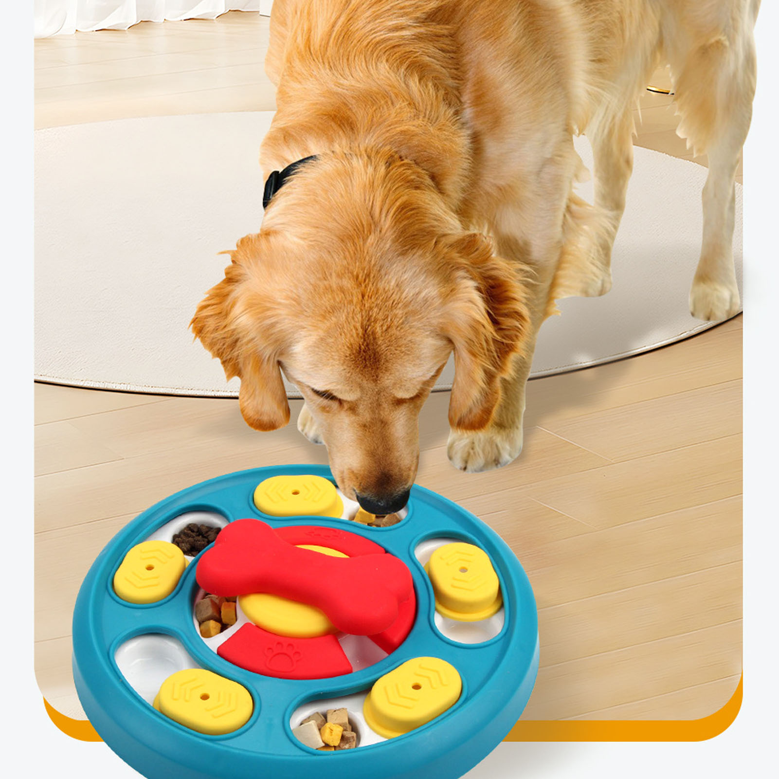 Ein Golden Retriever schnuppert an einem blau-gelben Hundepuzzle.
