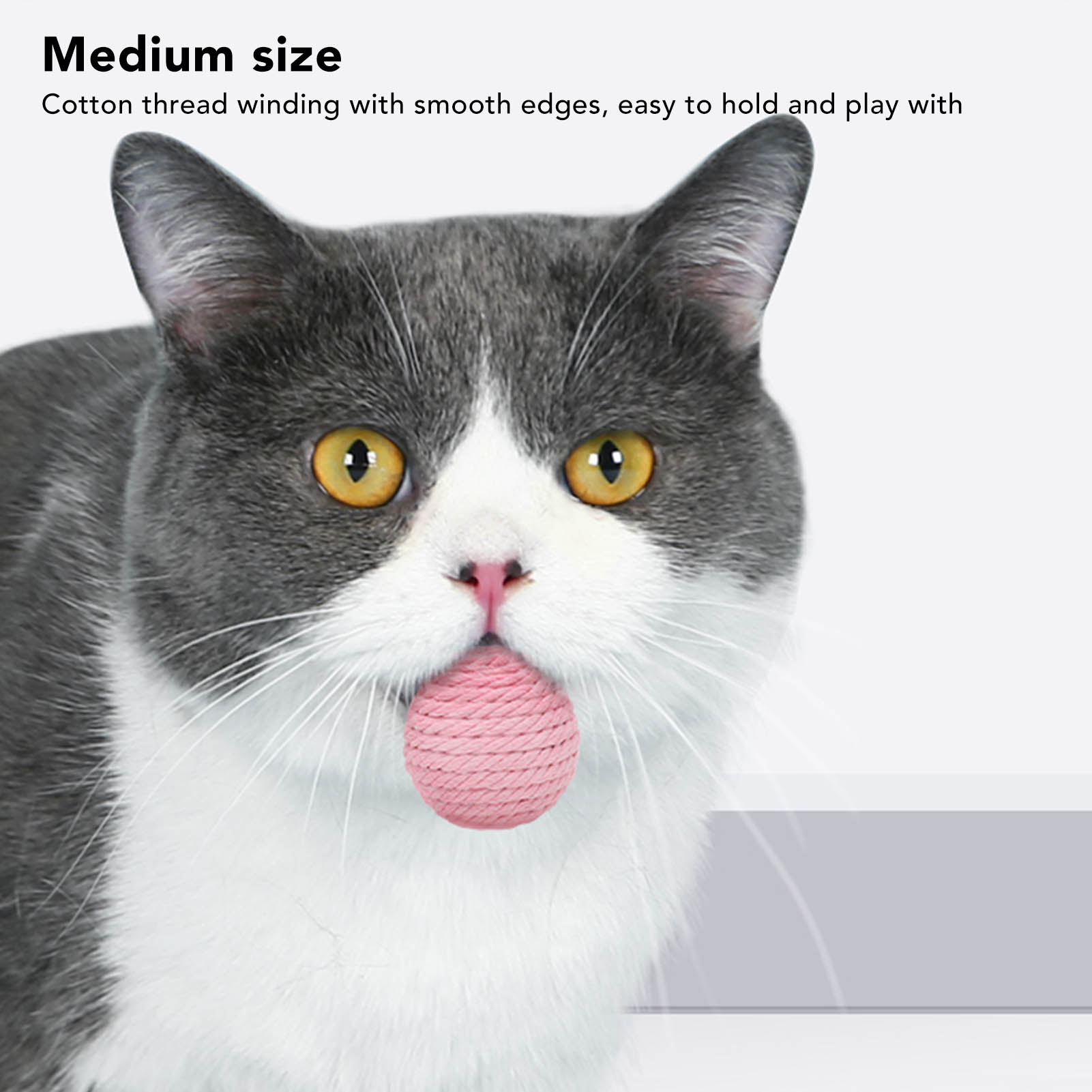 Katze mit rosa Ballspielzeug im Maul, Text "Medium size".