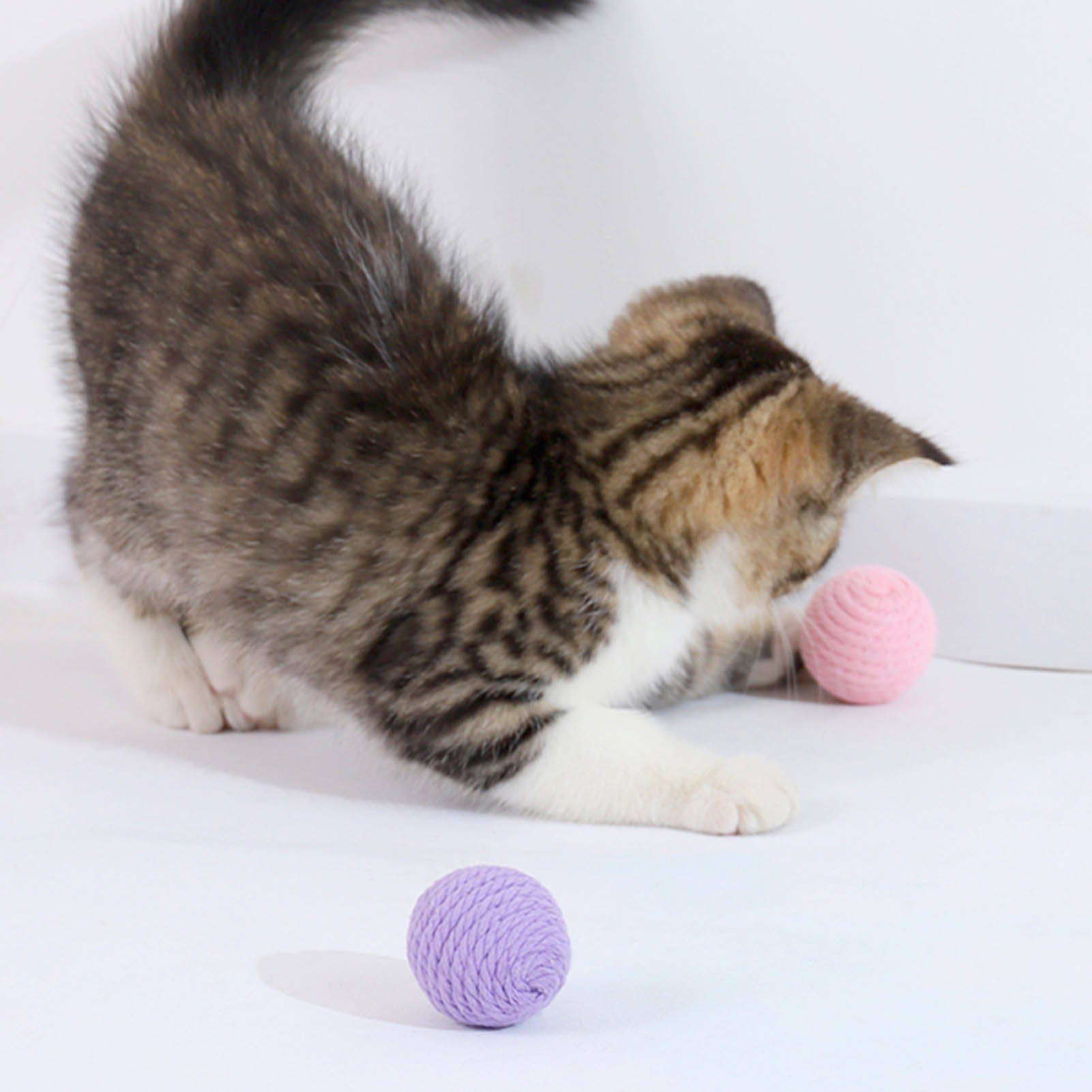Ein Kätzchen spielt mit zwei rosa und einem lila Garnball auf einer weißen Oberfläche.