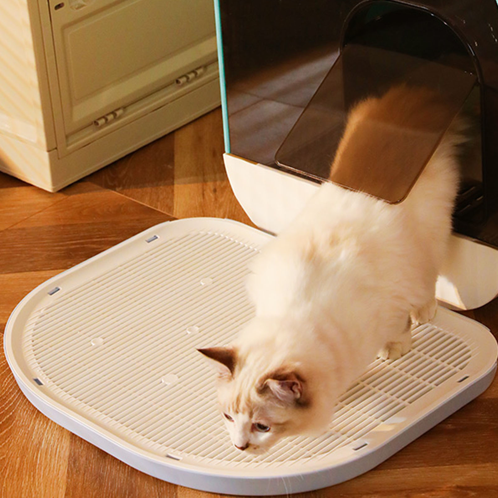 Eine Katze verlässt ein Katzenklo. Die Box hat ein weißes Gitter und einen Deckel in einem Raum.
