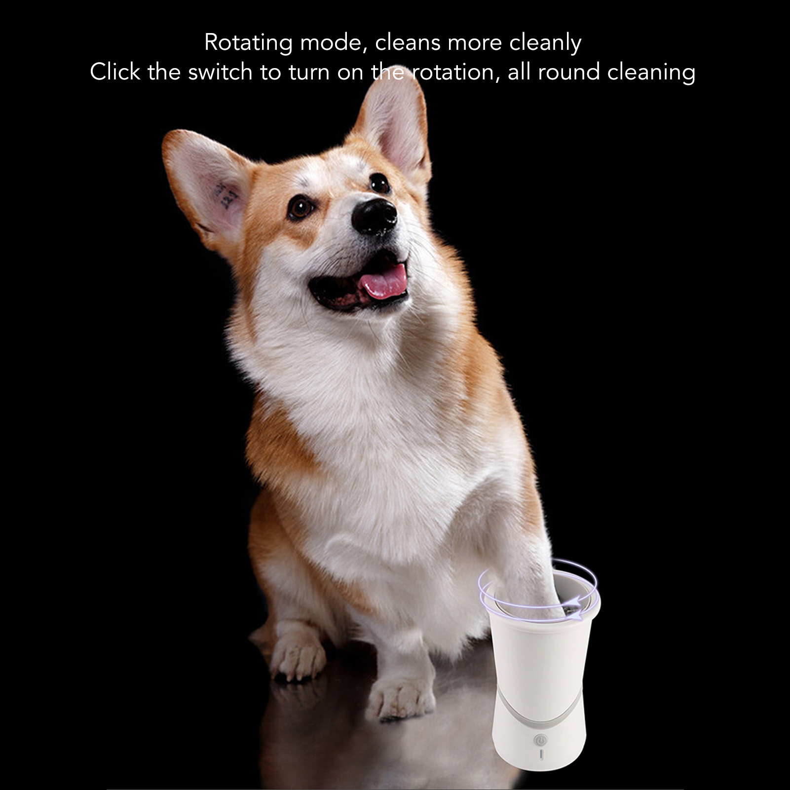 Ein Corgi-Hund, der nach oben schaut, ein weißes Reinigungsgerät befindet sich vor ihm. Schwarzer Hintergrund.