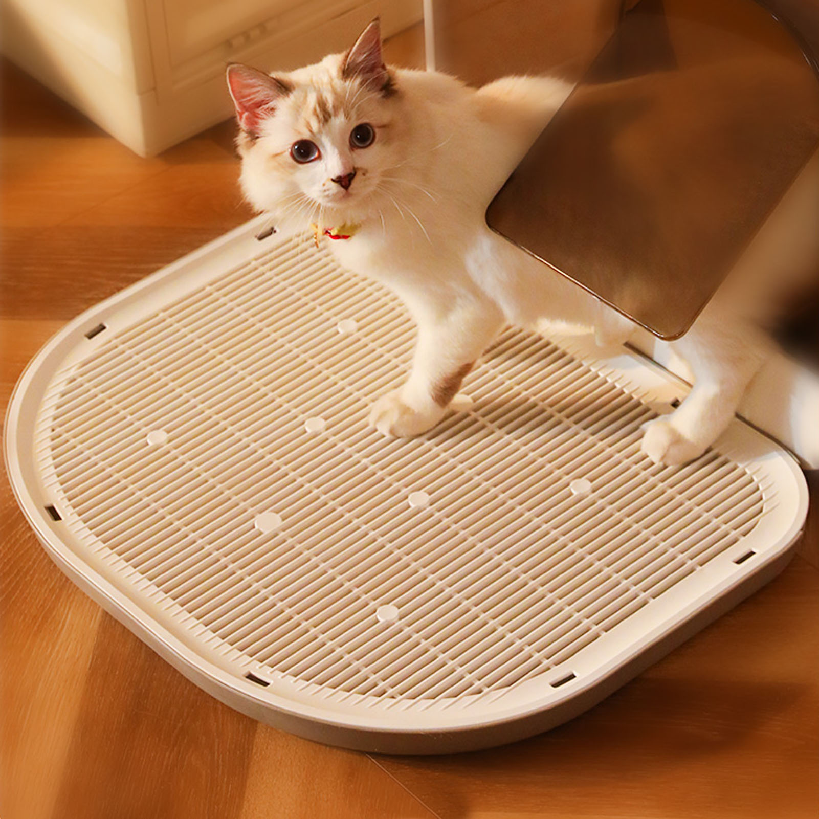 Eine Katze steht in einer Katzentoilette mit einer Schaufel. Die Box ist grau und weiß.