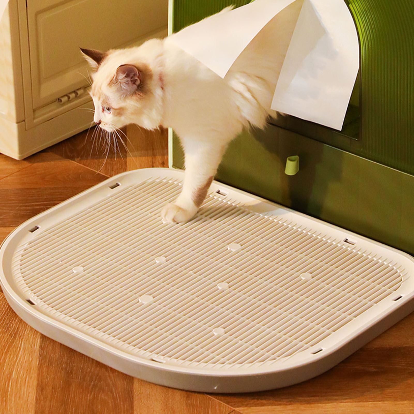 Katze verlässt eine grüne Katzentoilette auf einer grauen Bodenmatte. Katze ist weiß und braun.