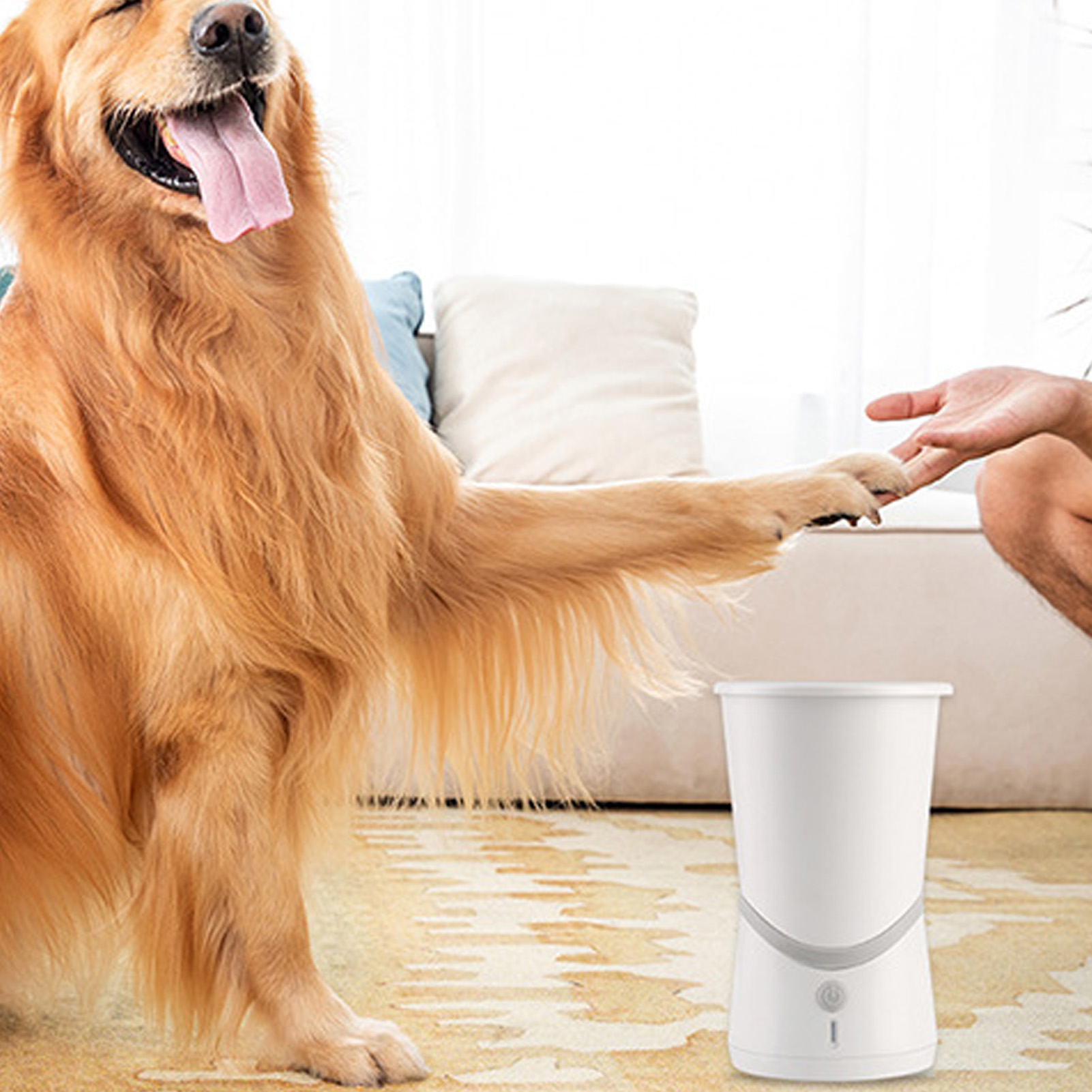 Golden Retriever gibt Pfote. Im Hintergrund befindet sich ein weißer Futternapf.
