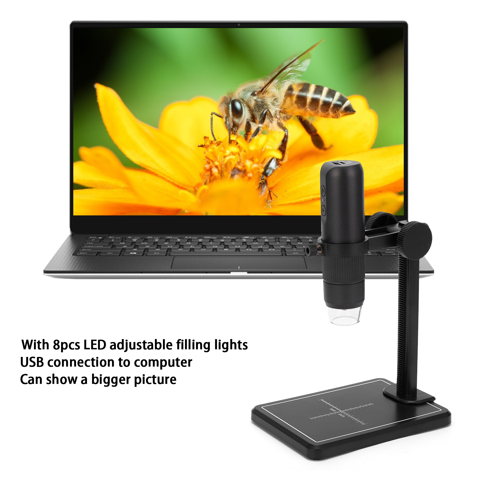 Mikroskop mit einem Laptop, der eine Biene auf einer Blume zeigt. Text sagt 'adjustable filling lights'.