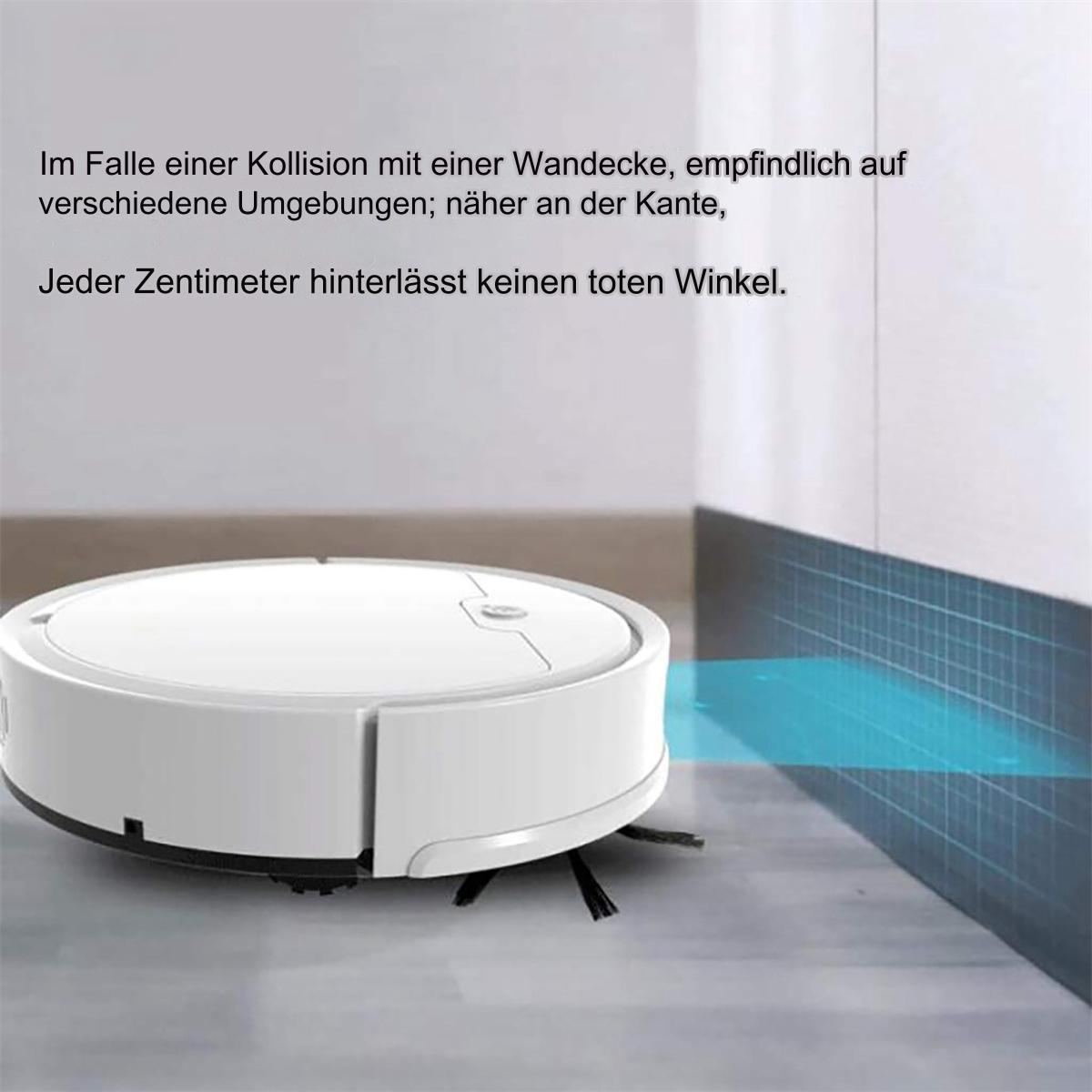 drachenbaum wohnzimmer Drachenbaum 'Lemon Lime' | kaufen main image 0