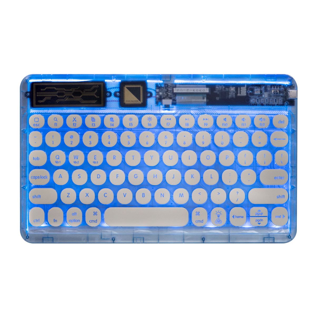 Eine transparente, blau beleuchtete Tastatur mit weißen Tasten, die interne Komponenten zeigt.