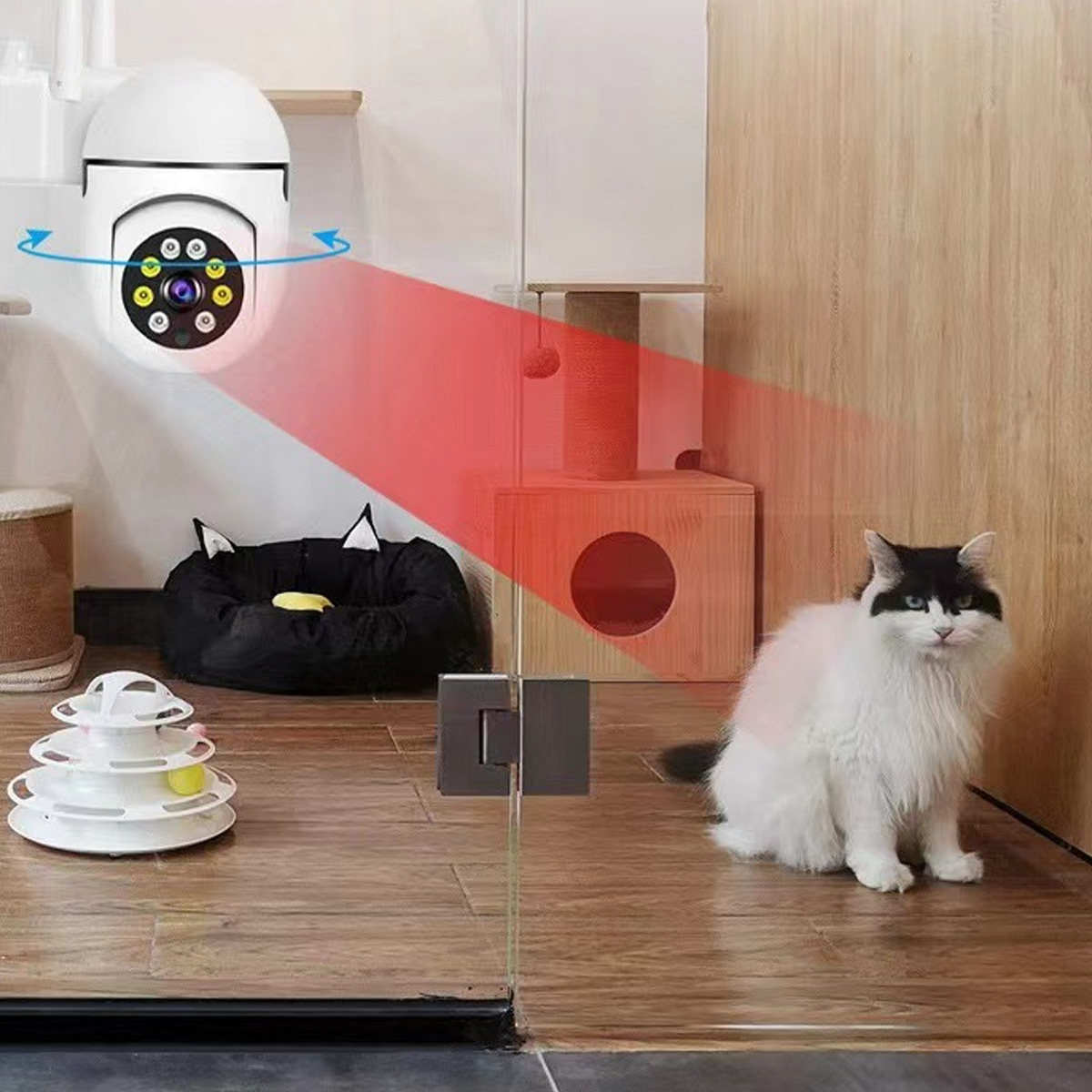 Katze sitzt in einem Raum, mit Überwachungskamera und rotem Strahl.