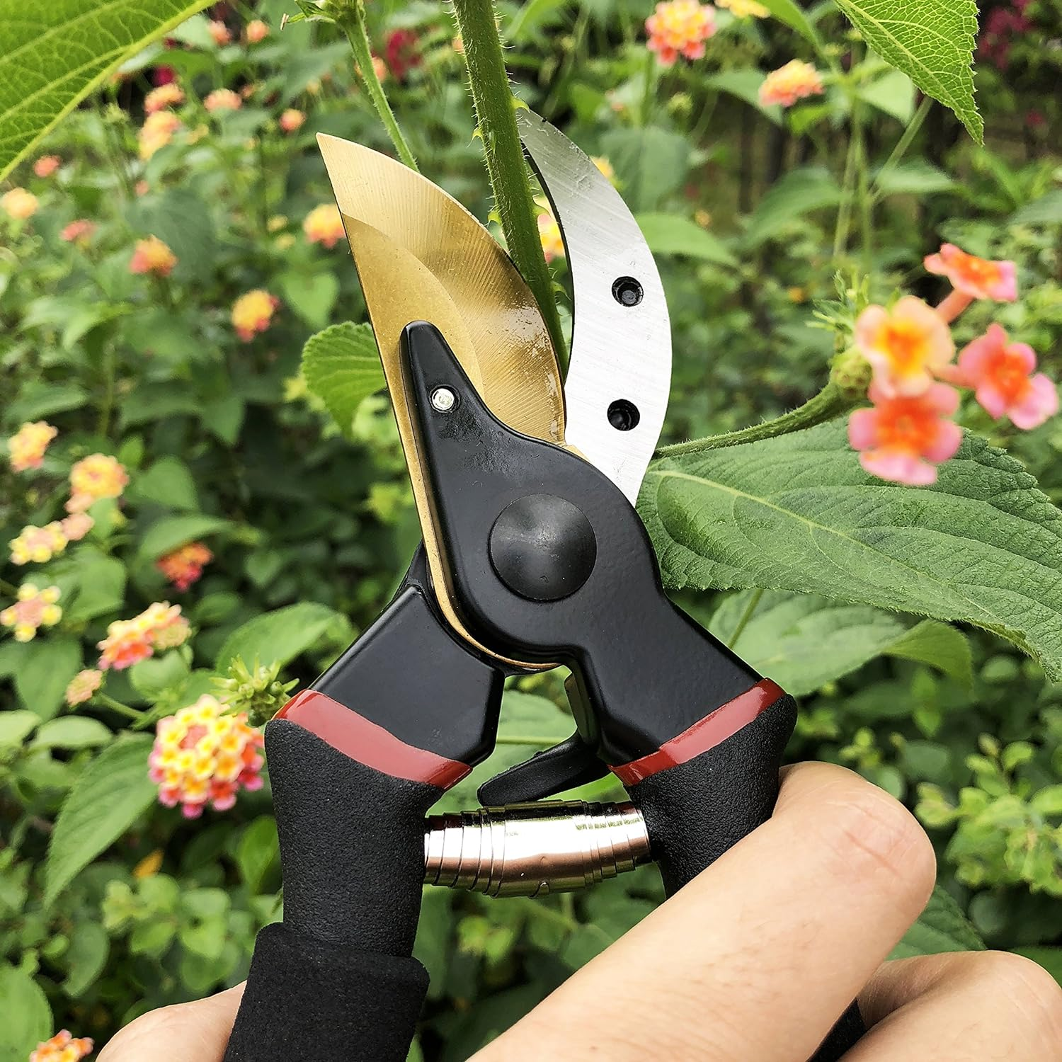 Eine Hand, die eine Gartenschere hält und durch einen grünen Stiel schneidet. Die Schere ist schwarz und gold.