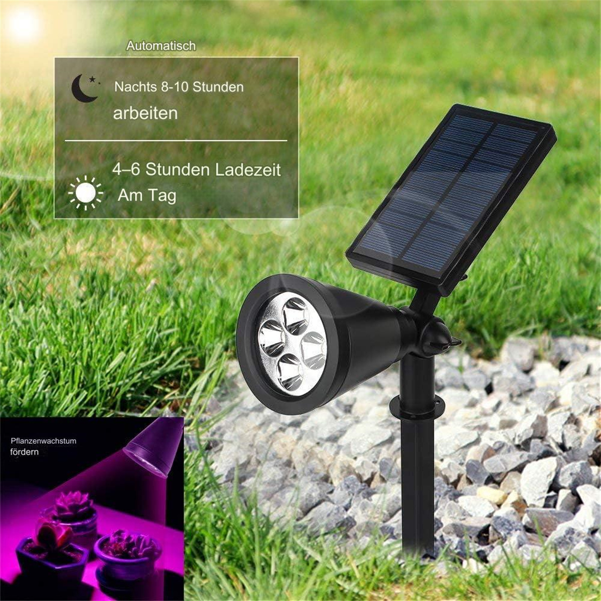 Solarbetriebene Außenleuchte in einem Garten.