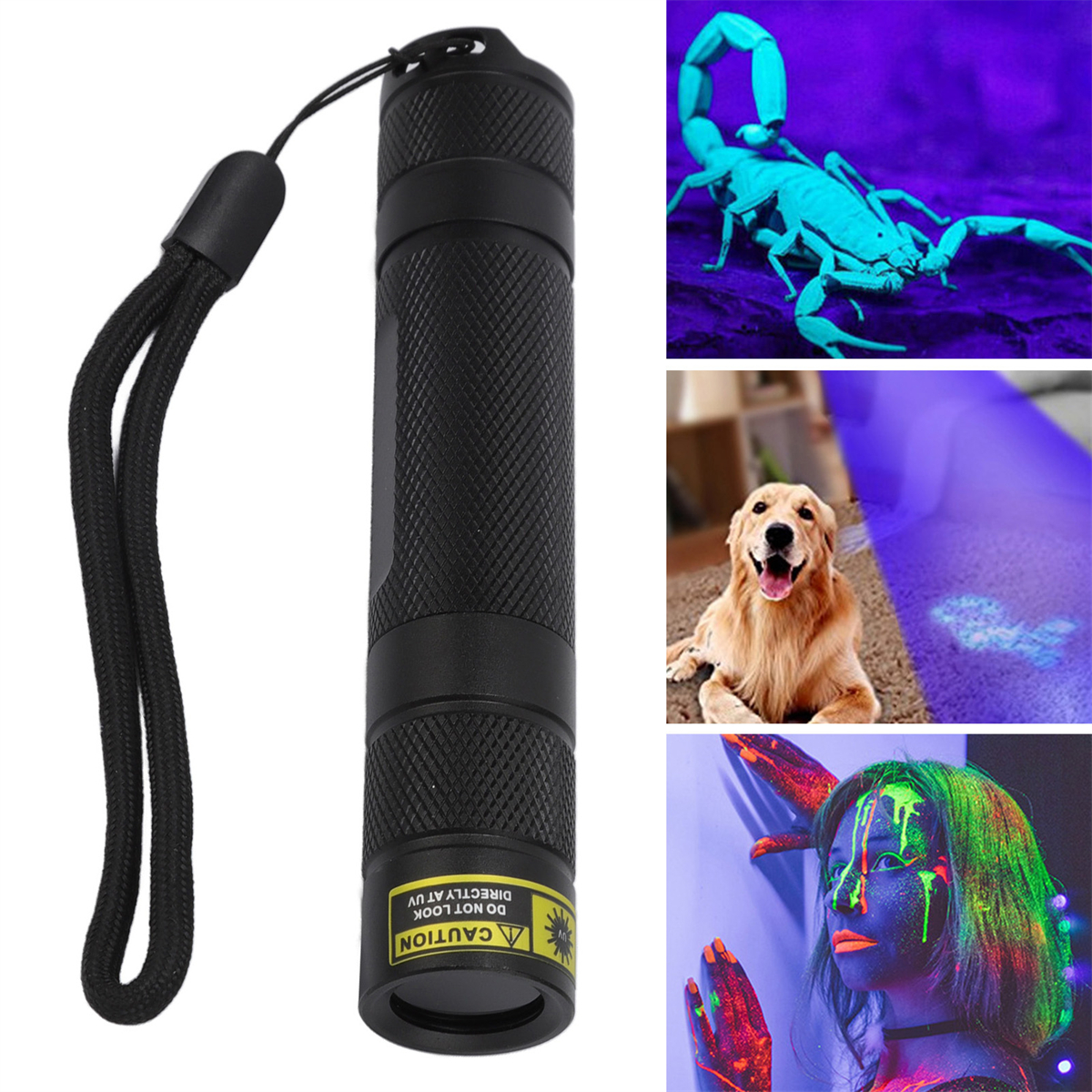 Schwarze UV-Taschenlampe mit verschiedenen Bildern: Skorpion, Hund, Person mit UV-Farbe. Vorsicht-Text.