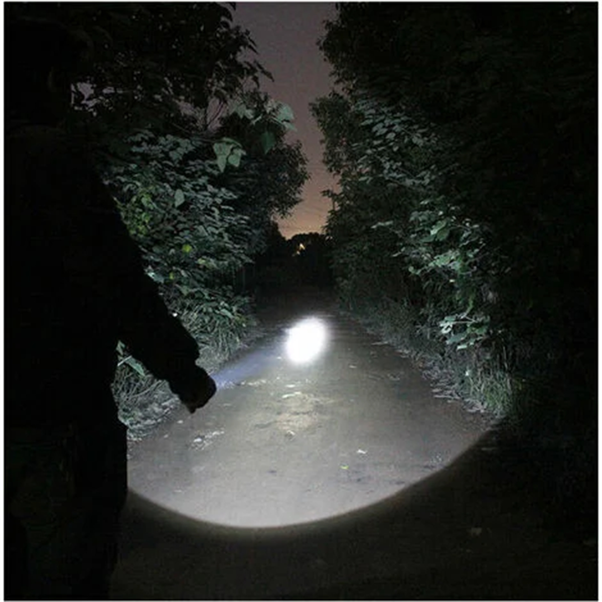 Person leuchtet mit einer Taschenlampe auf einen dunklen Weg mit Bäumen an den Seiten. Das Licht konzentriert sich in der Mitte.